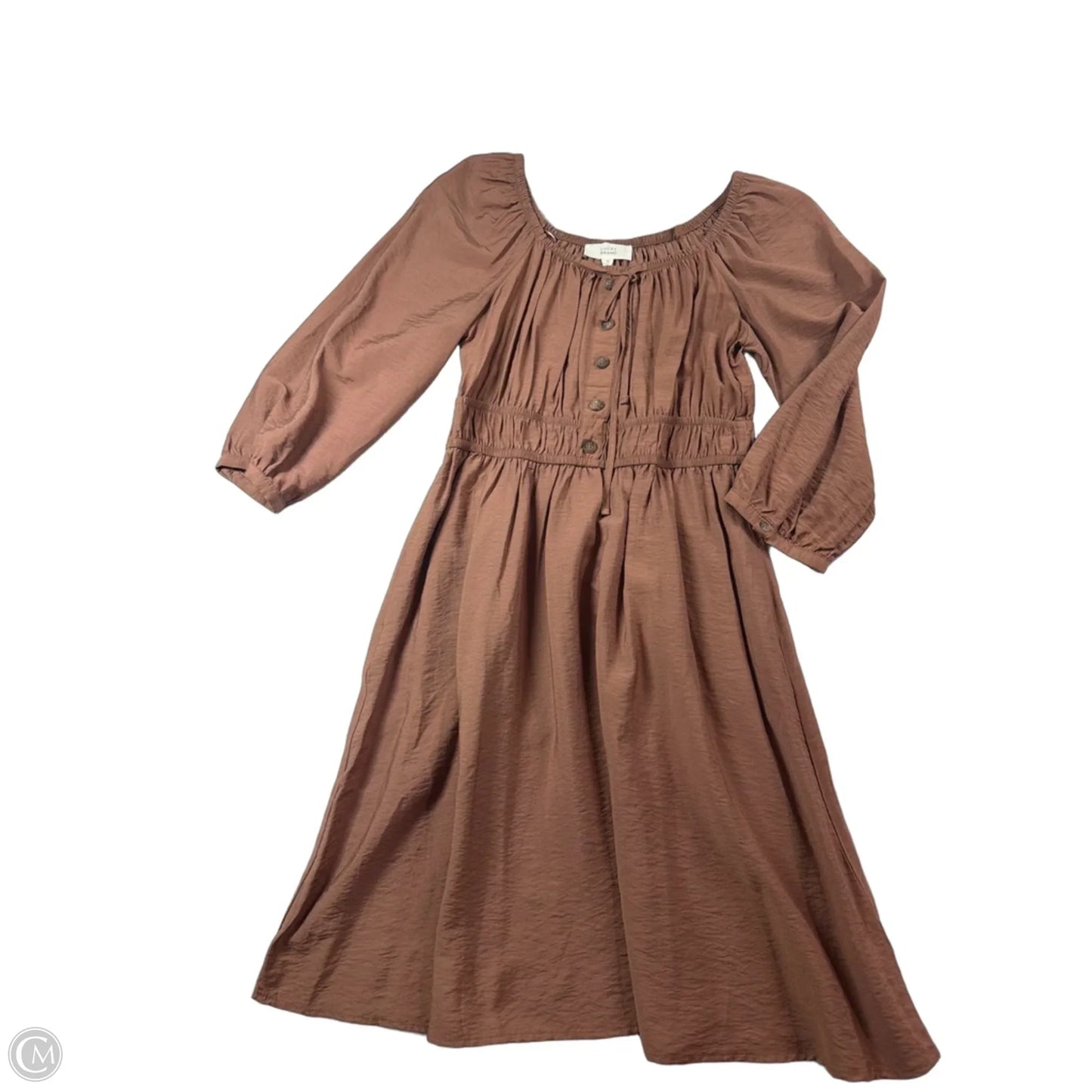 Dress Casual Short By Lucky Brand In Brown, Size: S