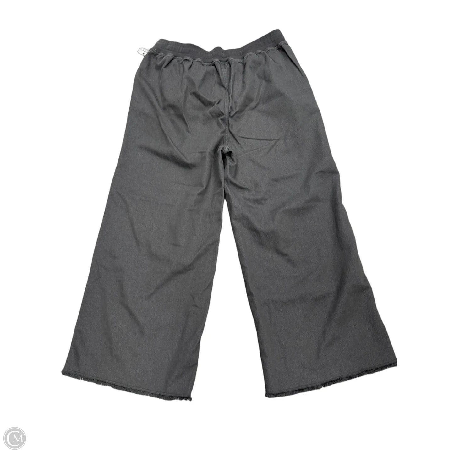 Pants Wide Leg By Aerie In Grey, Size: 16