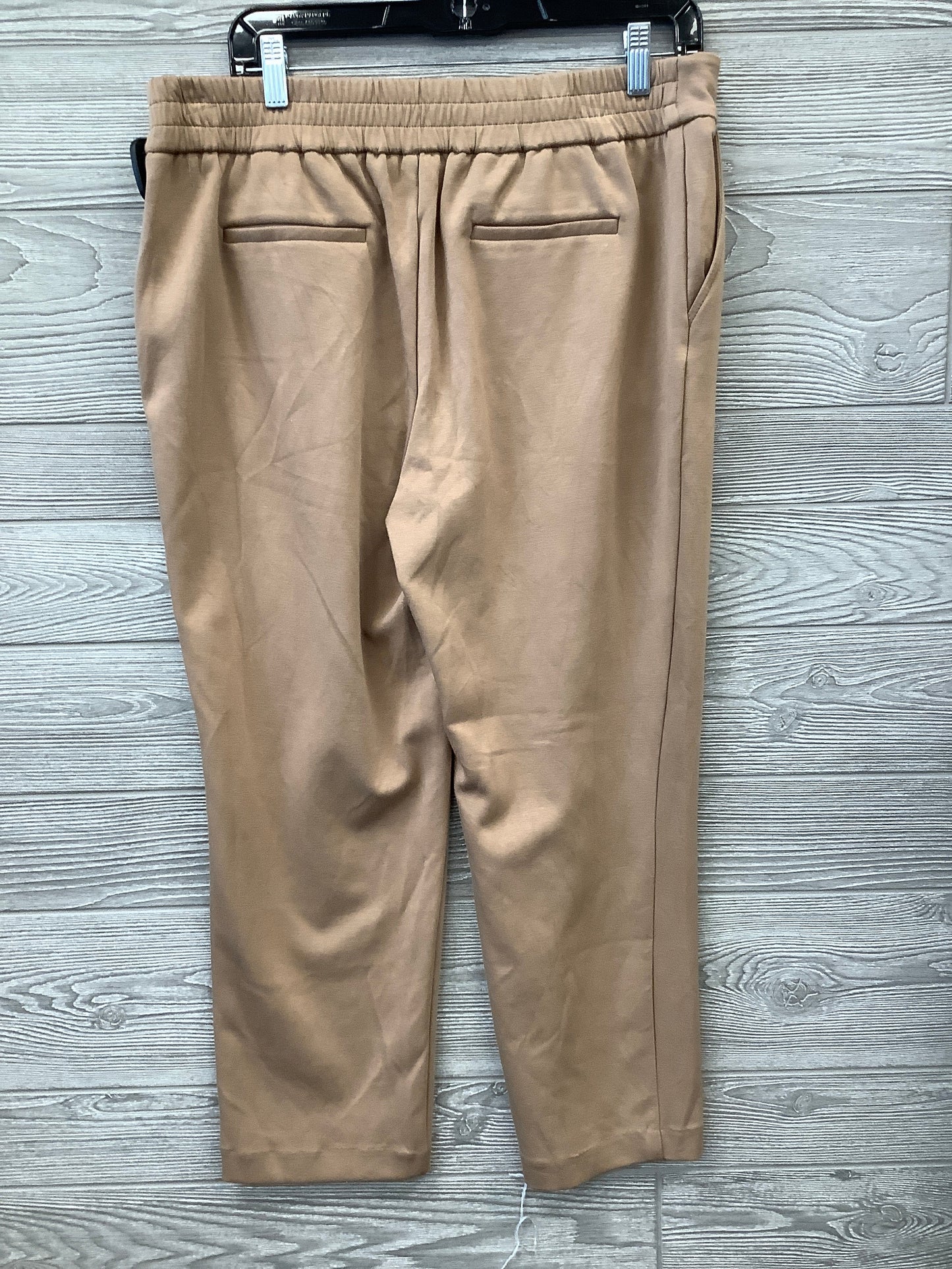 Capris By Rachel Zoe Size: 10