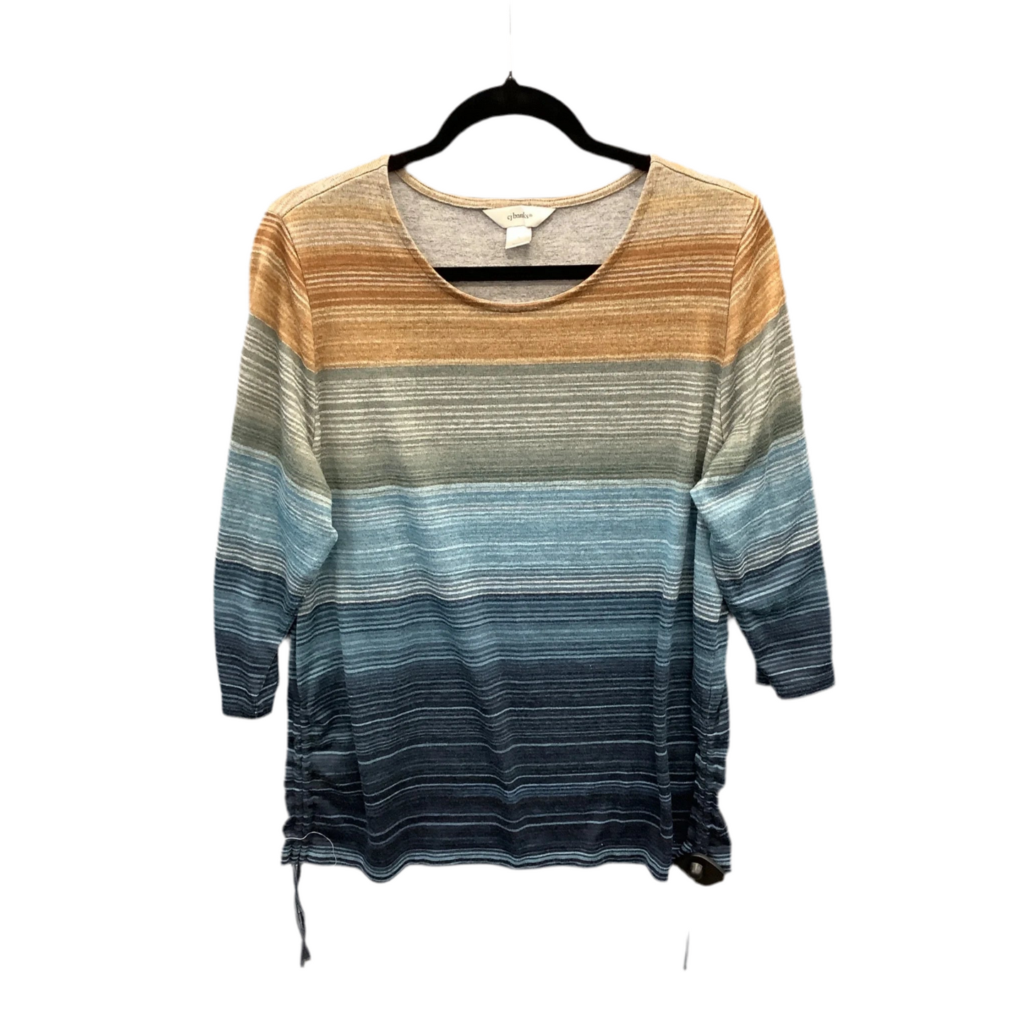 Top Long Sleeve By Cj Banks In Multi-colored, Size: L