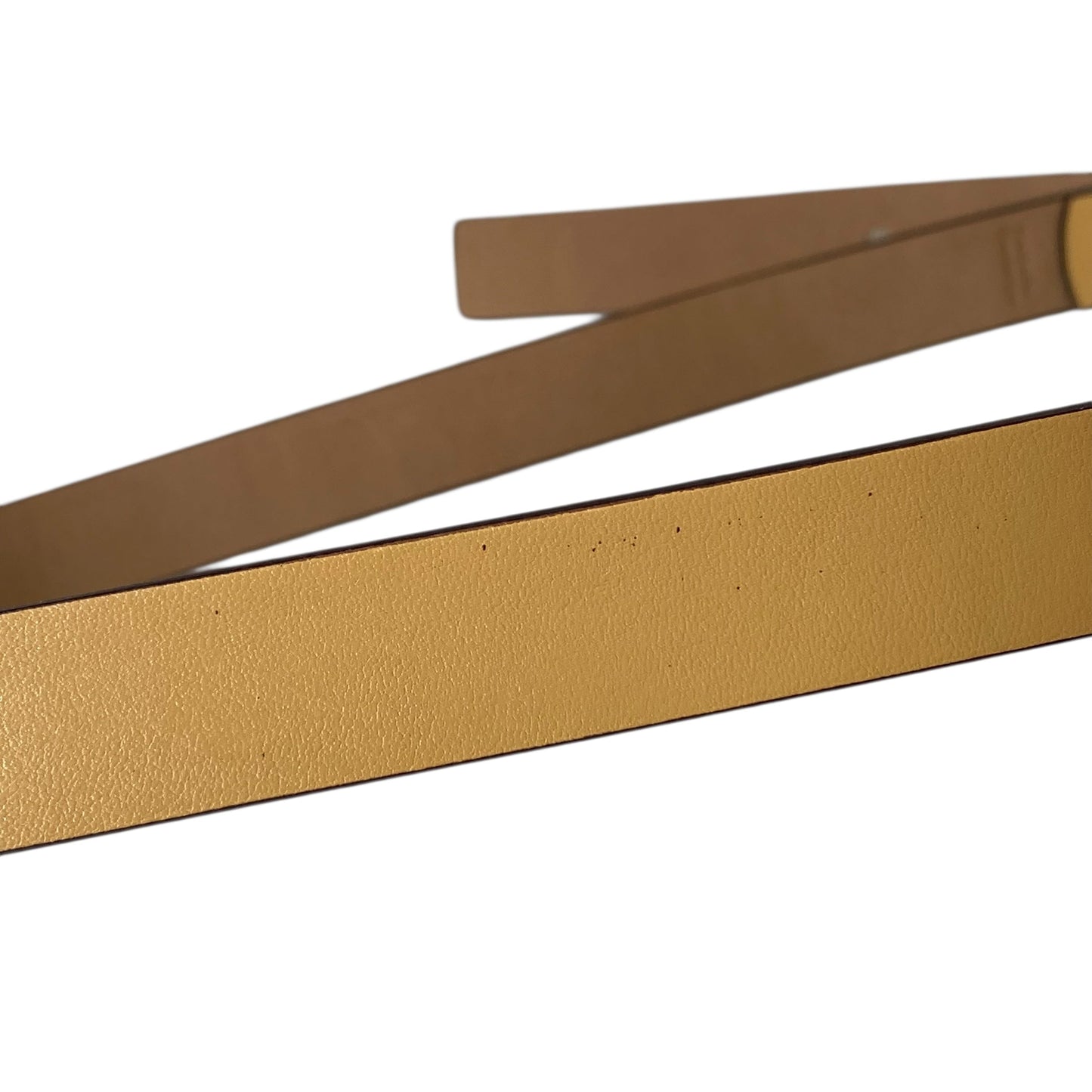 Belt Designer By Kate Spade In Tan