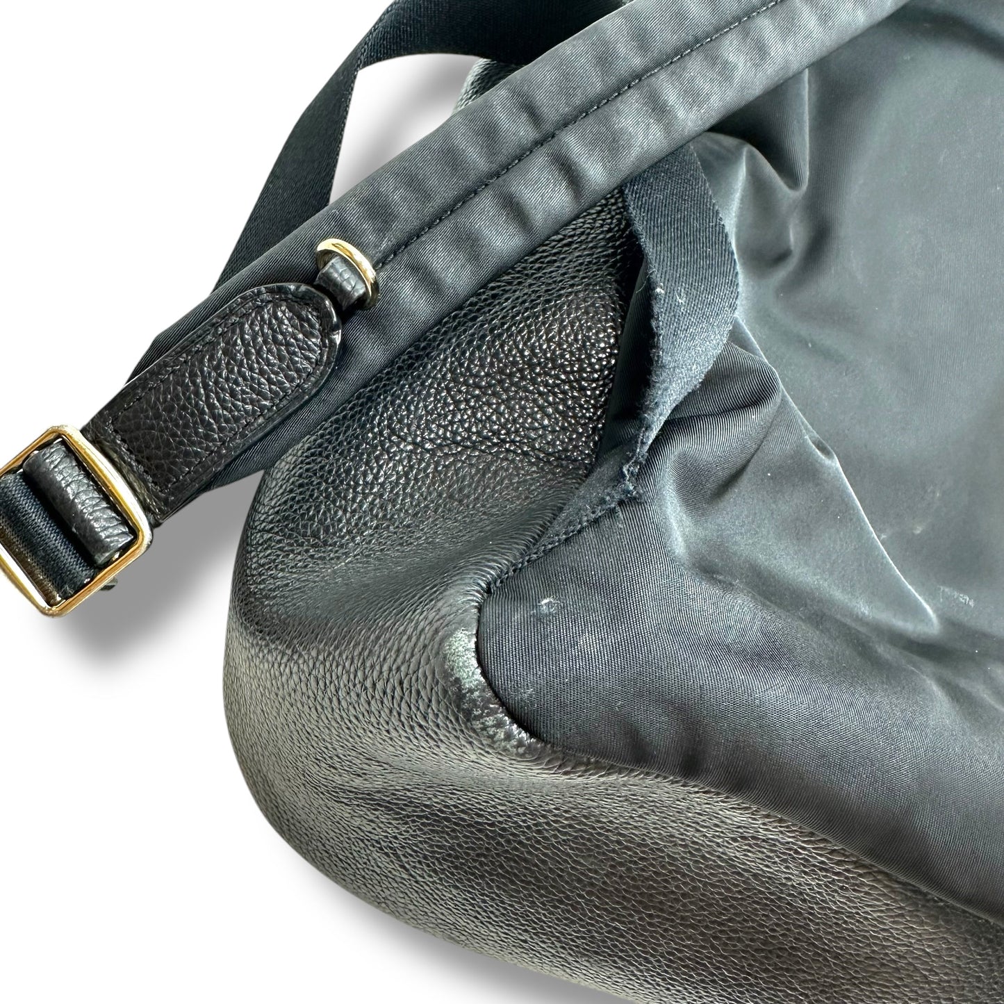 Backpack Designer By Coach, Size: Medium