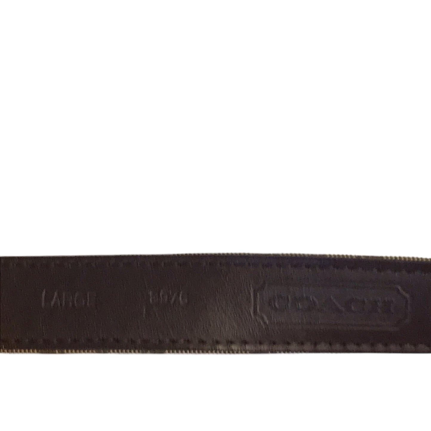 Belt Designer By Coach In Brown