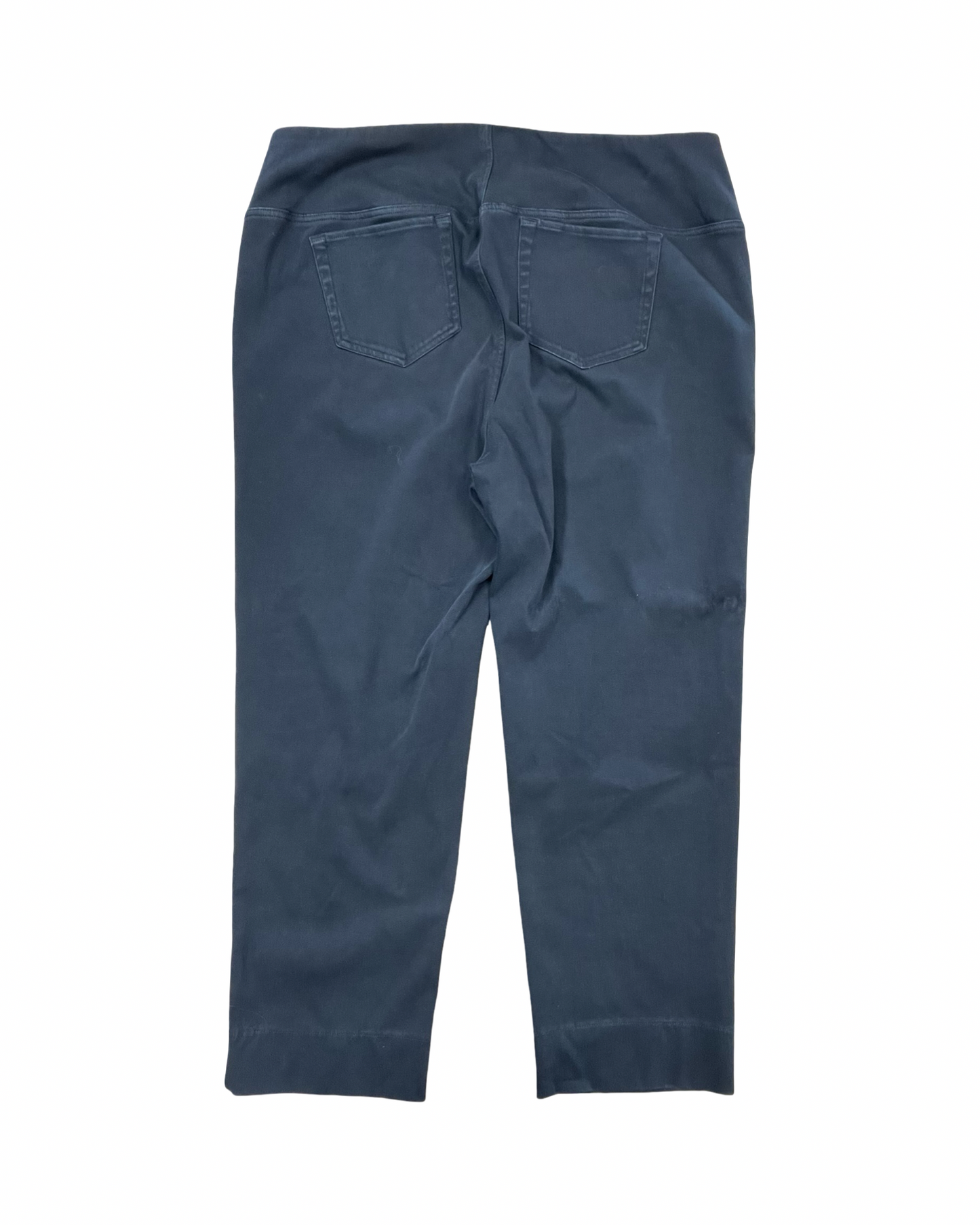Pants Other By J. Jill In Black, Size:2X