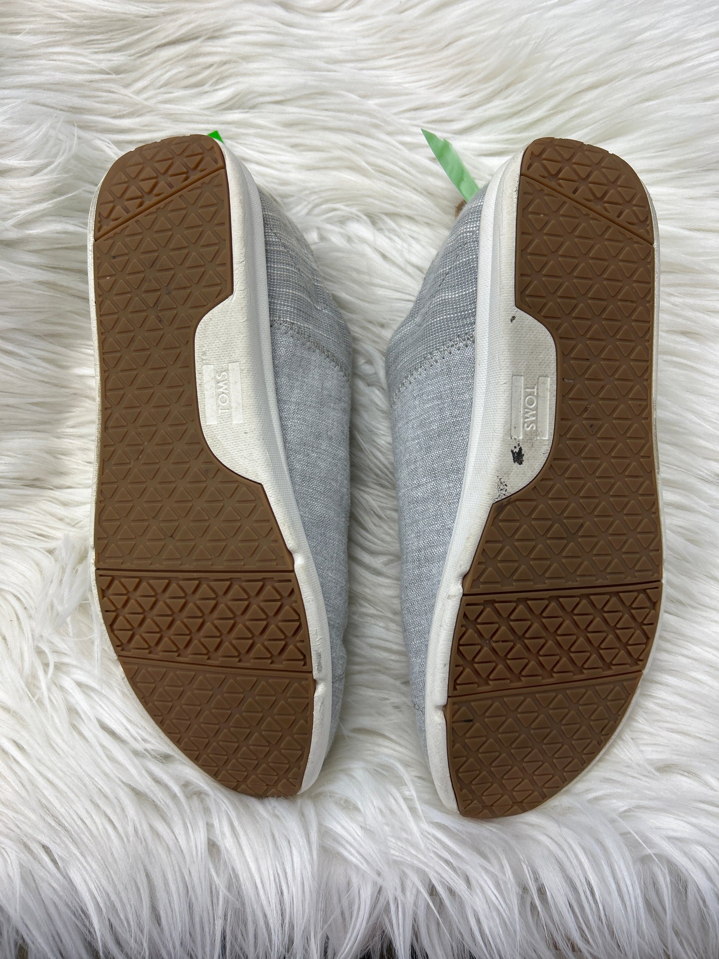 Shoes Sneakers By Toms In Grey, Size:9