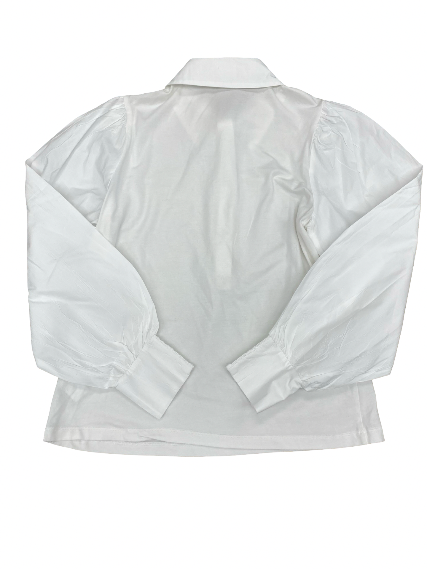 Top Ls By Evereve In White, Size:S
