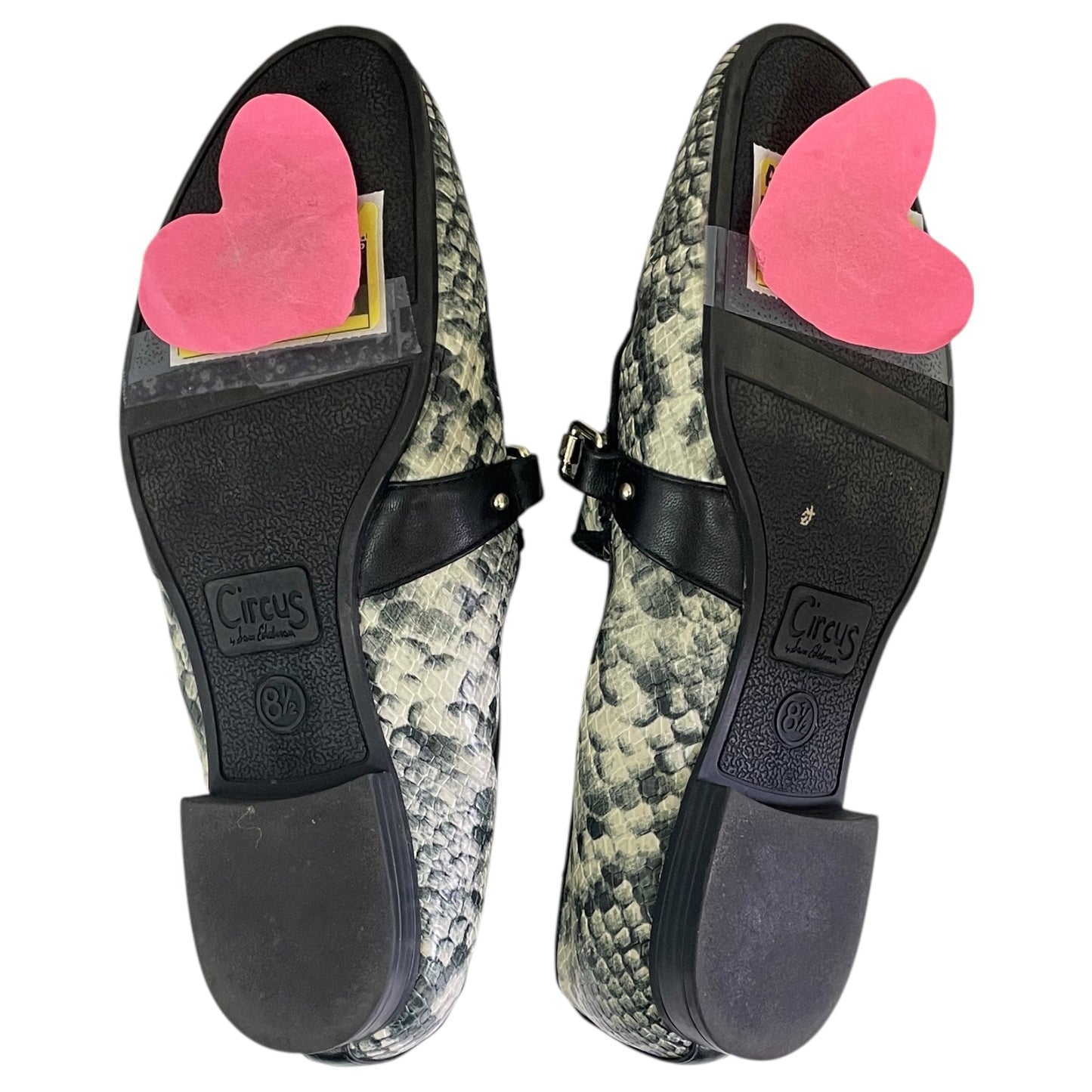 Shoes Flats By Circus By Sam Edelman In Black, Size:8.5