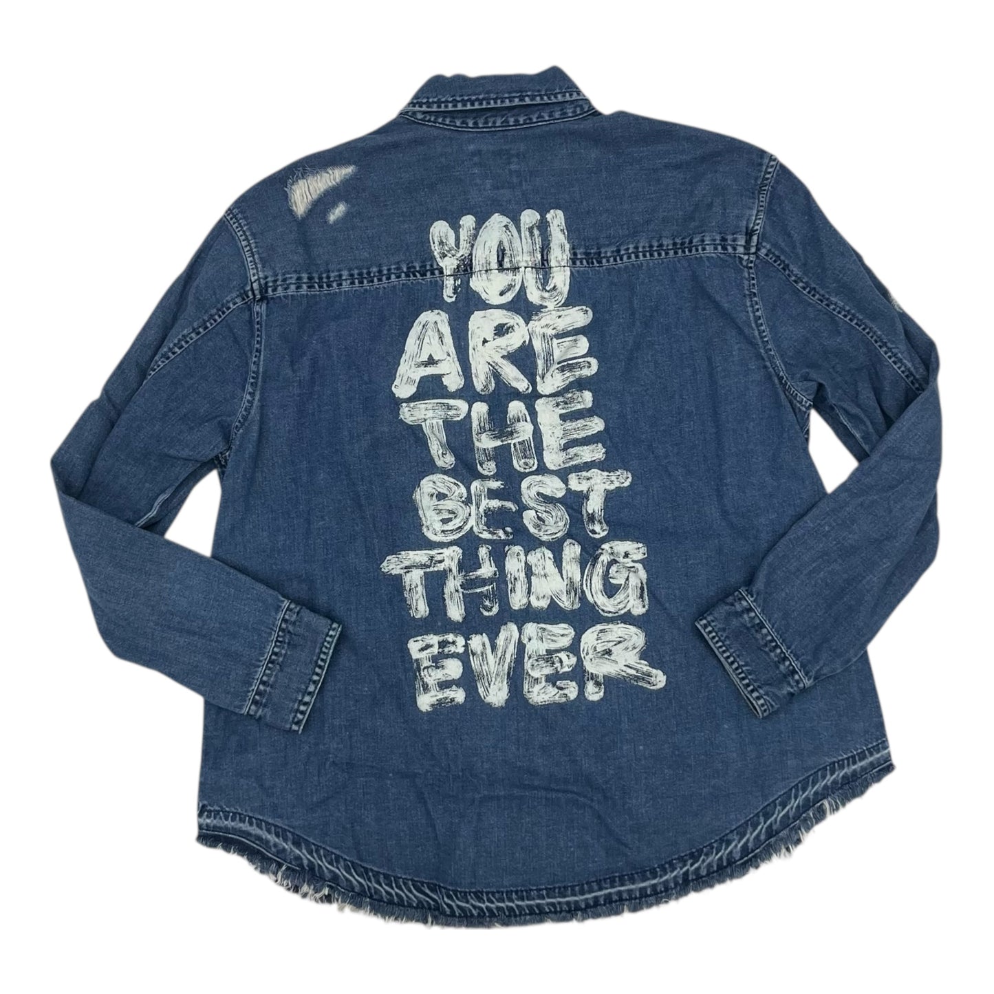 Blouse Ls By American Eagle In Blue Denim, Size:L