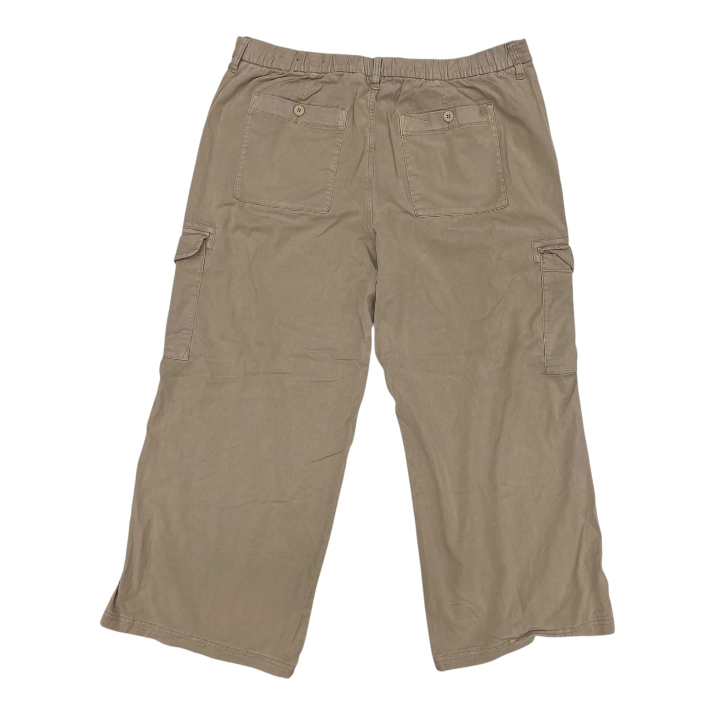 Pants Cargo & Utility By American Eagle In Brown, Size:20