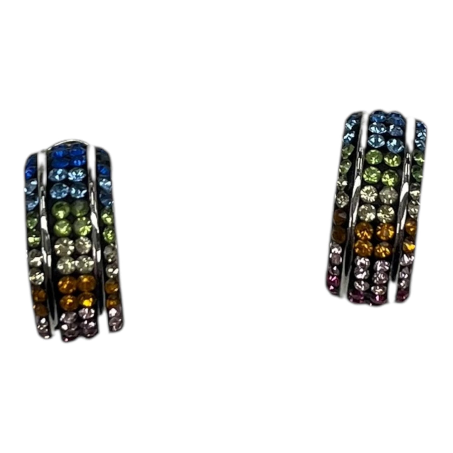 EARRINGS HOOP by CLOTHES MENTOR In RAINBOW PRINT