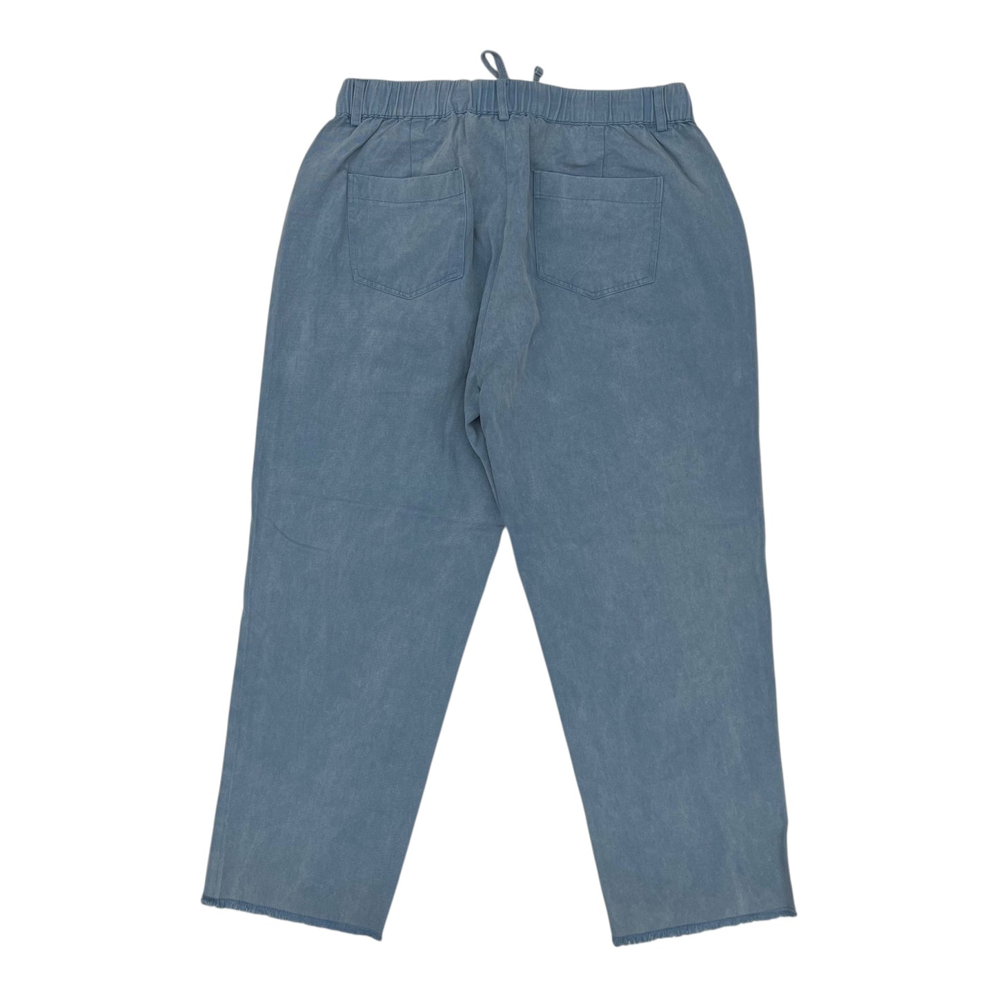 Pants Other By Jodifl In Blue, Size:L