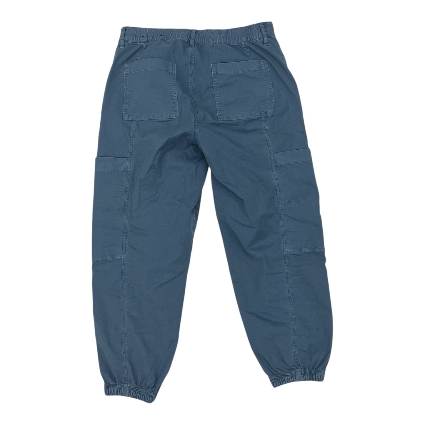 Pants Cargo & Utility By American Eagle In Blue, Size:8P