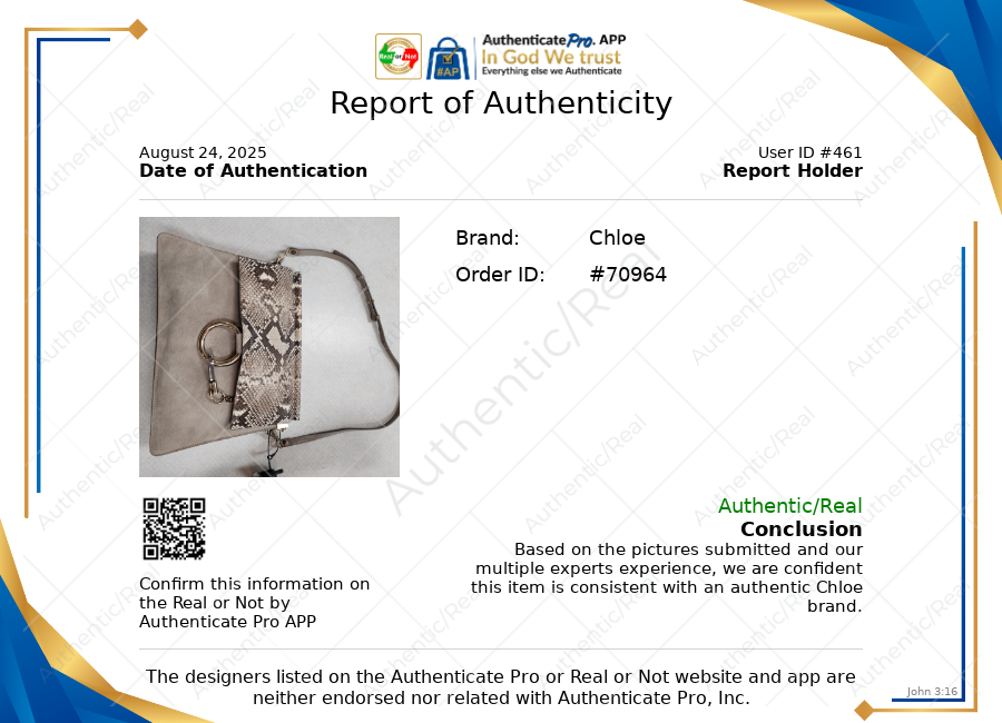 Handbag Luxury Designer By Chloe, Size: Medium