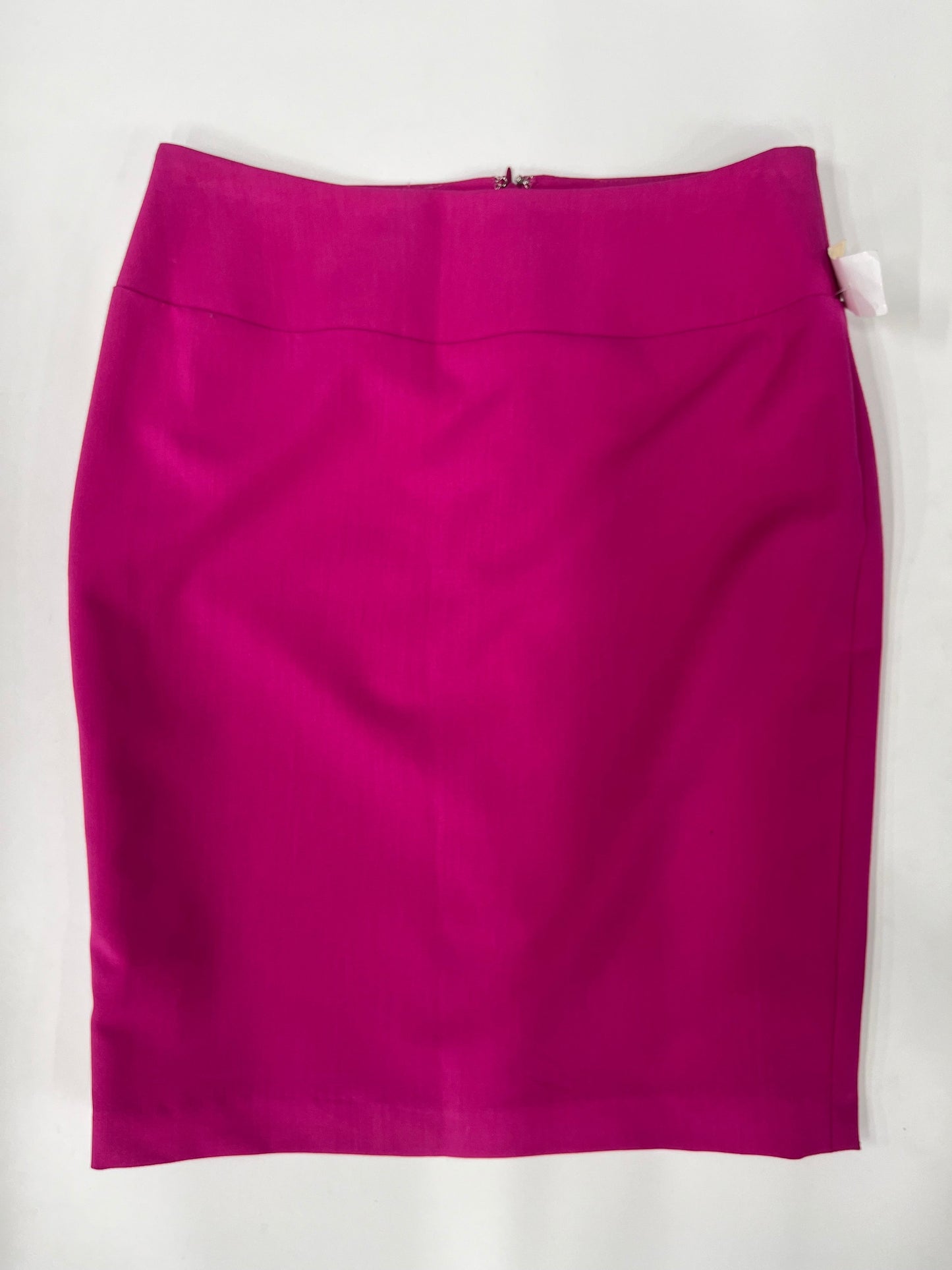Skirt By Ellen Tracy Size: 8