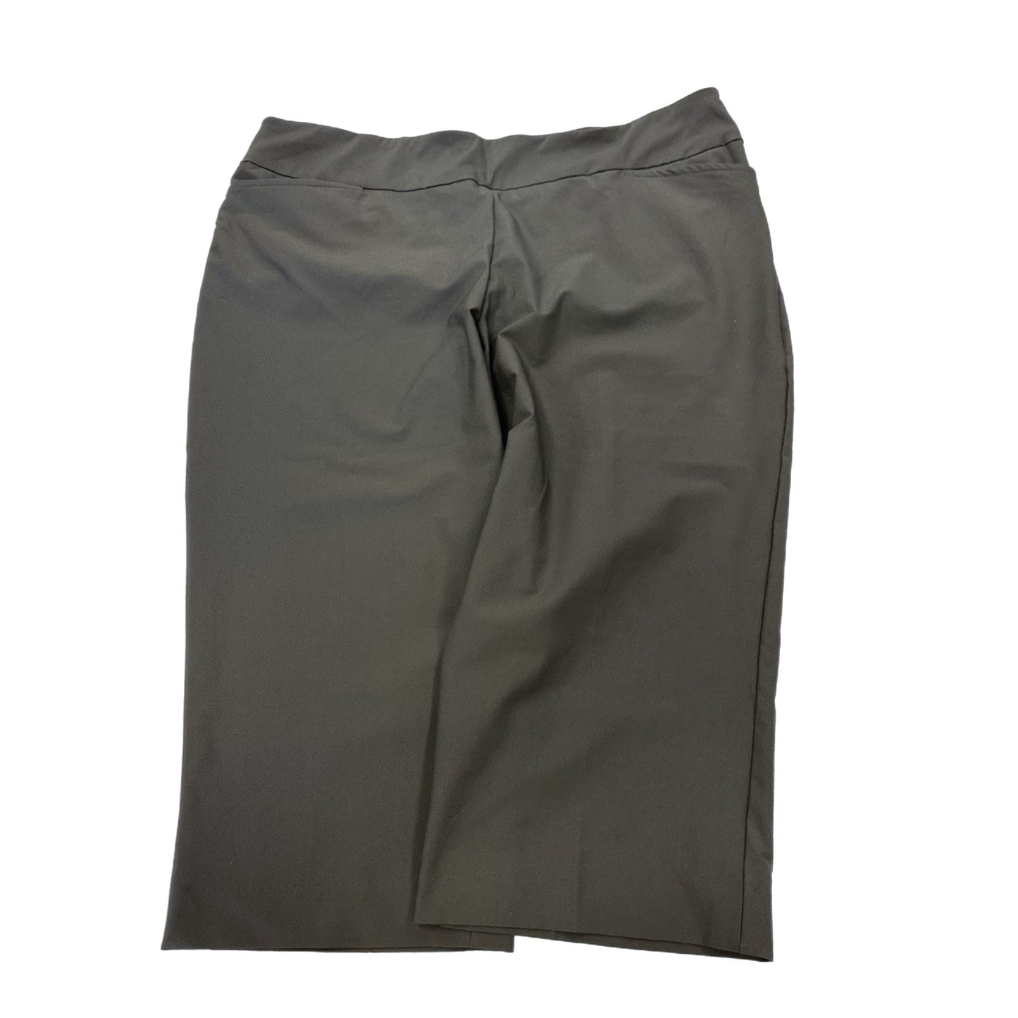 Capris By Tail Size: 22