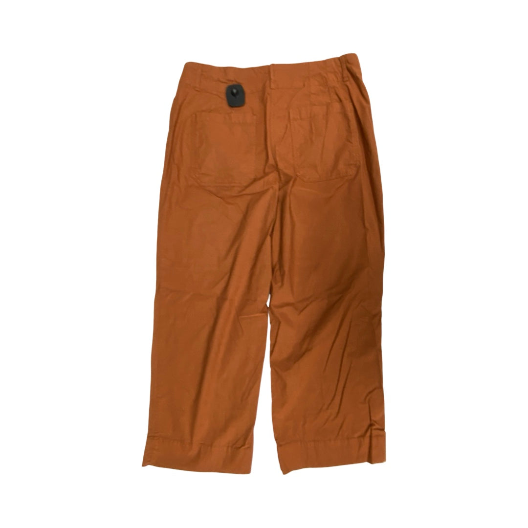 Pants Wide Leg By Hilary Radley In Brown, Size:12