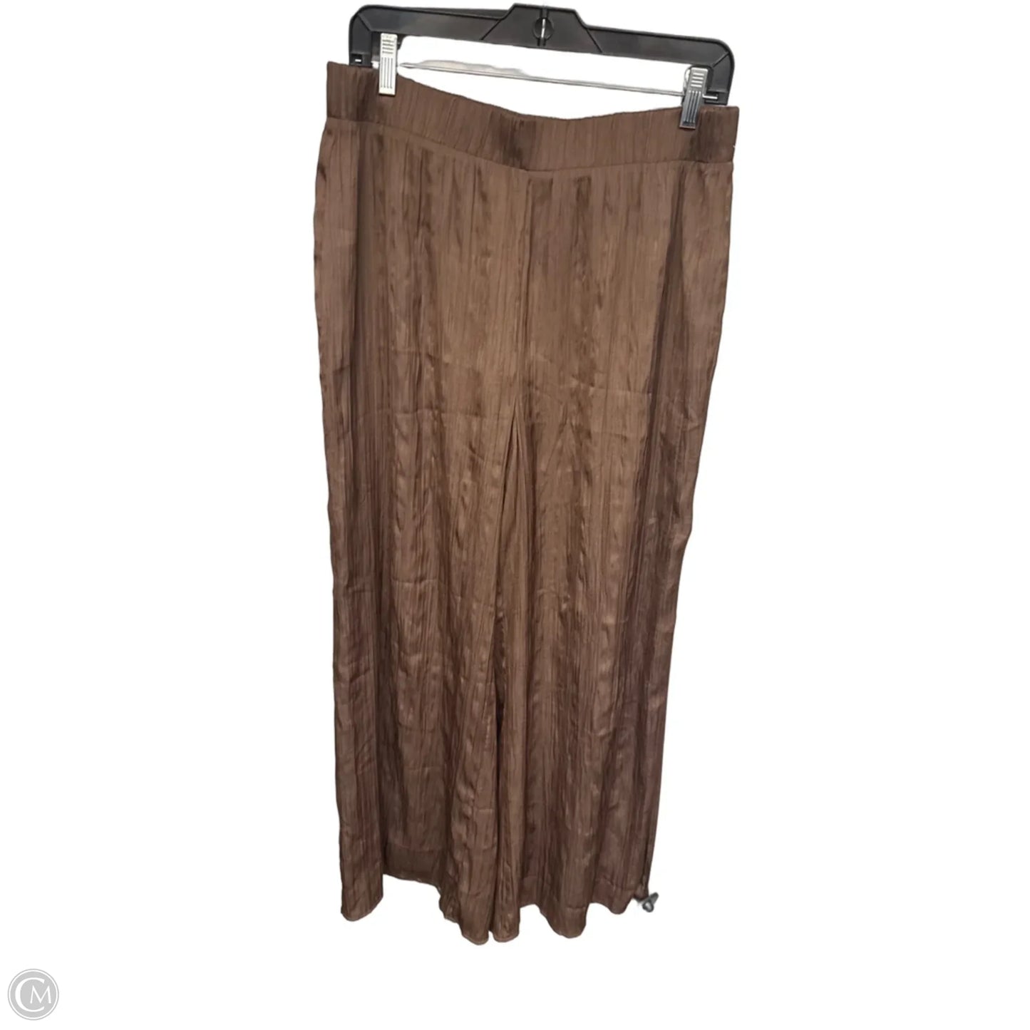 Pants Wide Leg By Z Supply In Brown, Size: L
