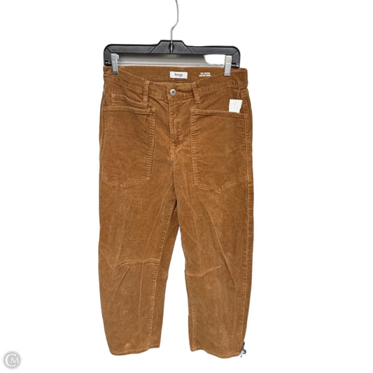 Pants Corduroy By Kensie In Brown, Size: 8