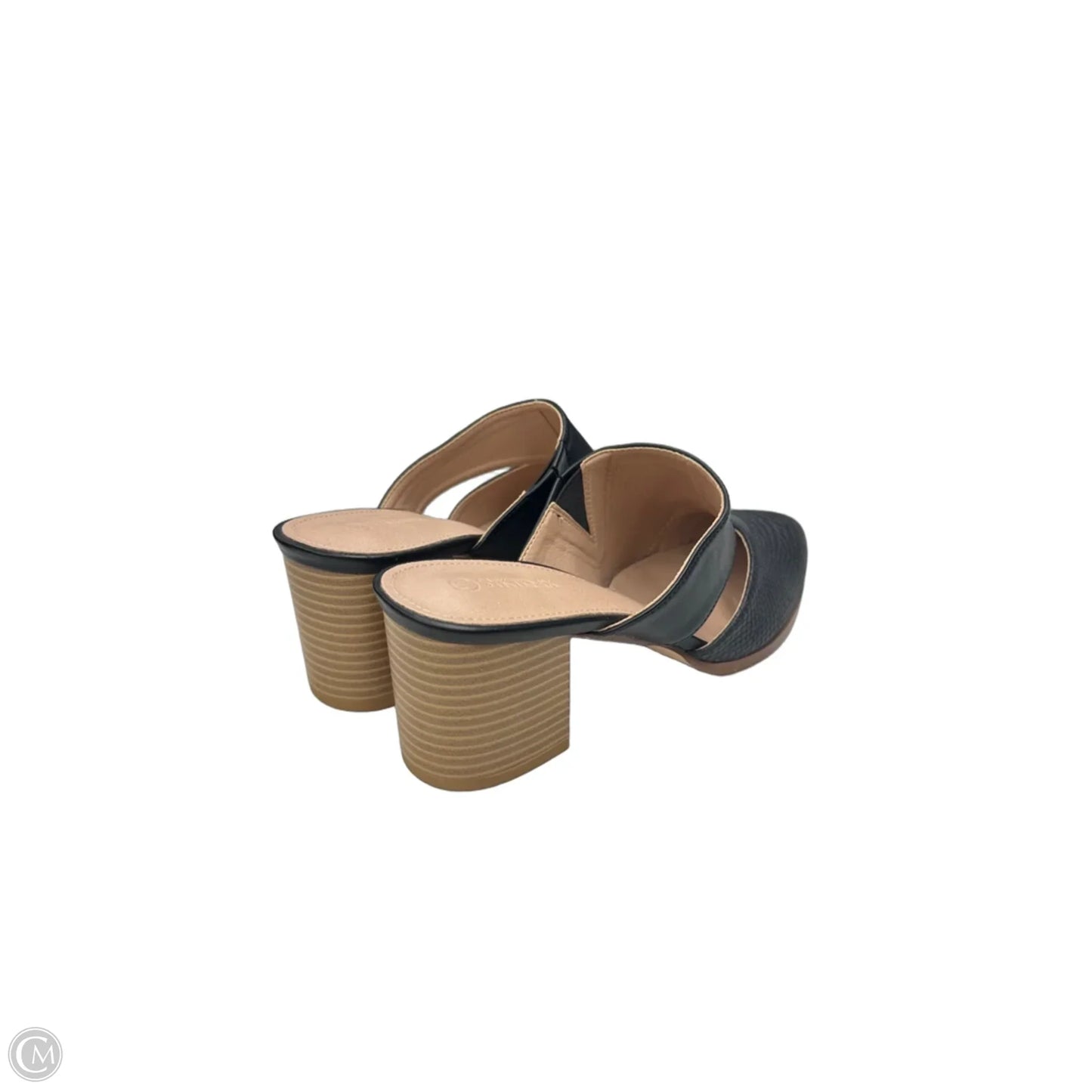 Shoes Heels Block By Clothes Mentor In Black, Size: 10
