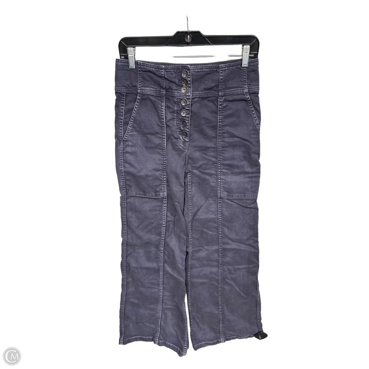 Pants Cargo & Utility By Ulla Johnson In Purple, Size: 6