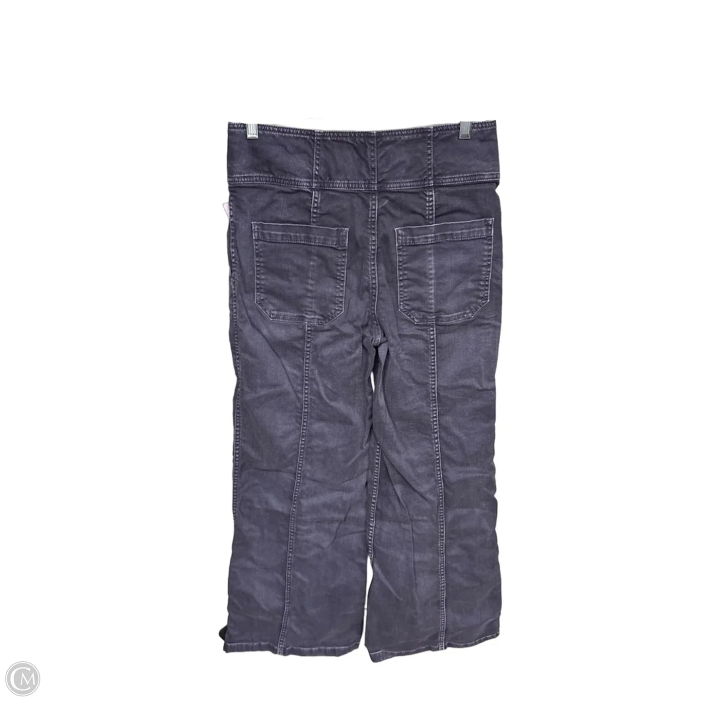 Pants Cargo & Utility By Ulla Johnson In Purple, Size: 6