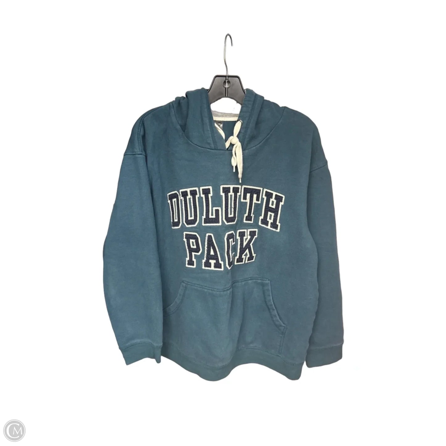 Sweatshirt Hoodie By Clothes Mentor In Teal, Size: L