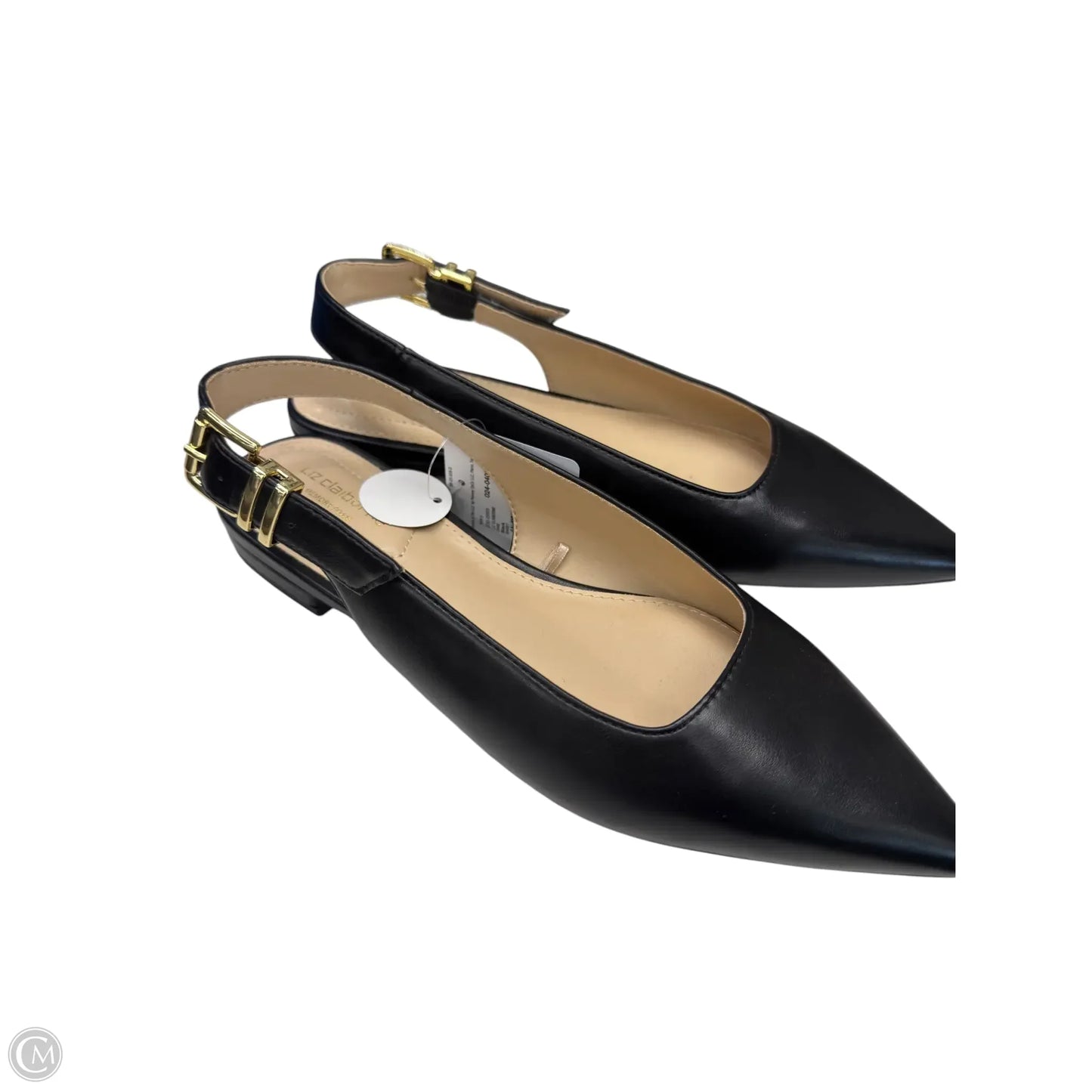 Sandals Flats By Liz Claiborne In Black, Size: 7
