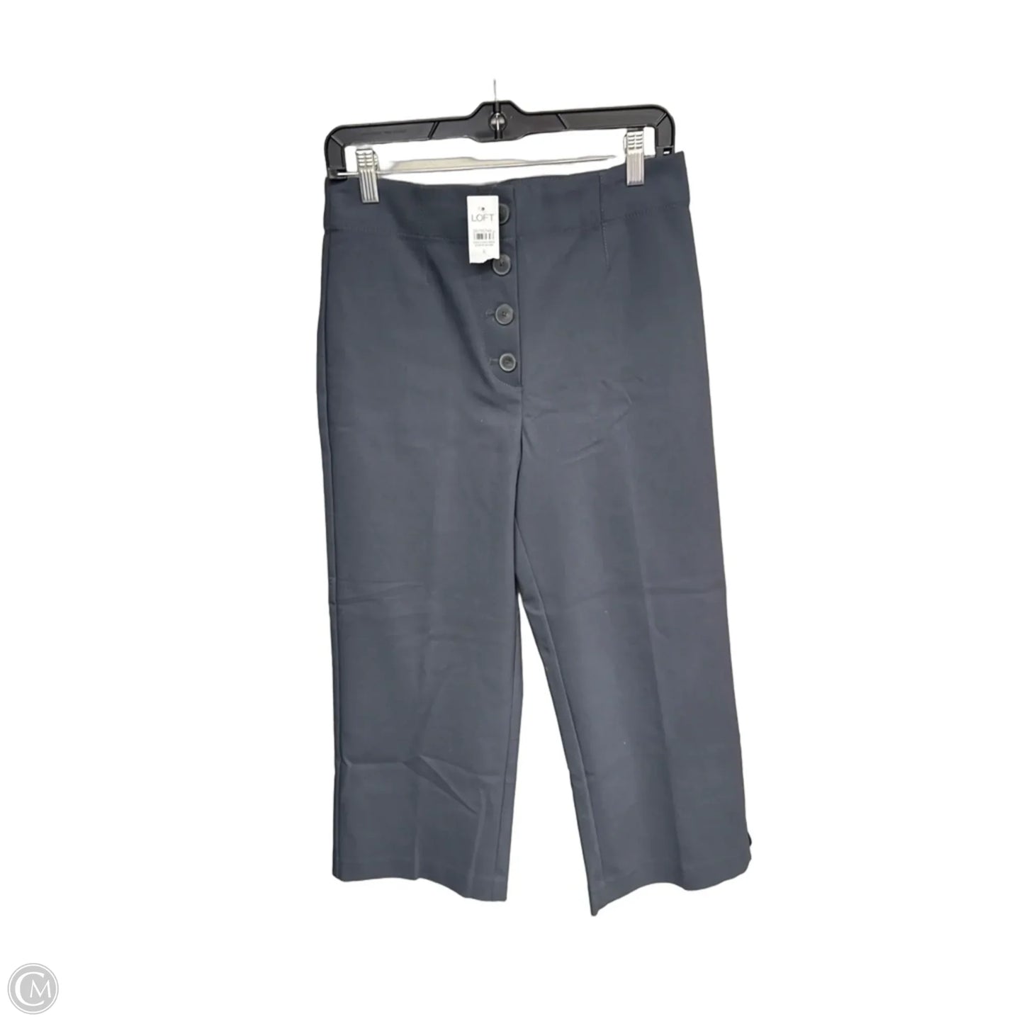 Pants Wide Leg By Loft In Blue, Size: 6