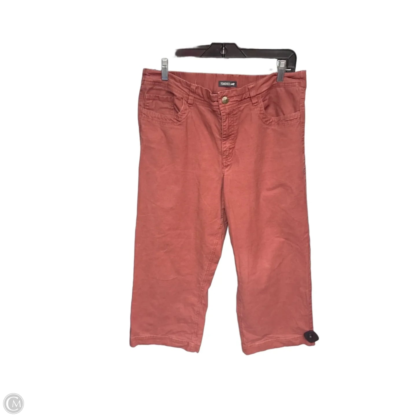 Pants Wide Leg By Toad & Co In Pink, Size: 14