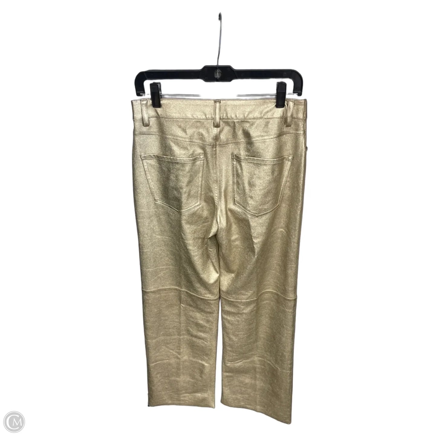 Pants Other By Sanctuary In Gold, Size: 6