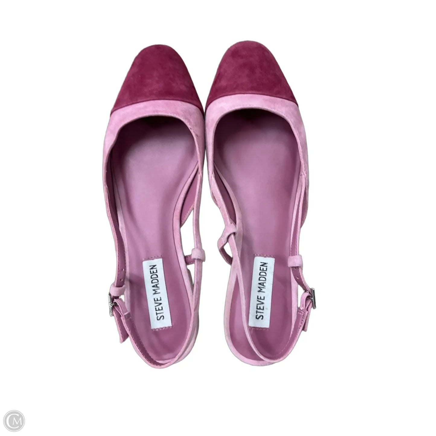 Shoes Flats By Steve Madden In Pink, Size: 8.5