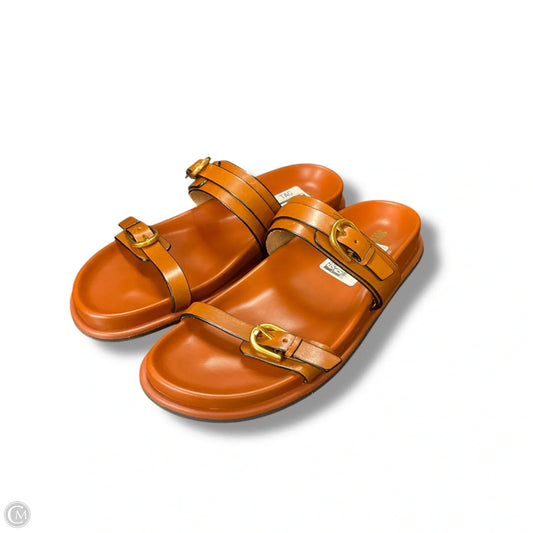 Sandals Flats By Steve Madden In Brown, Size: 9