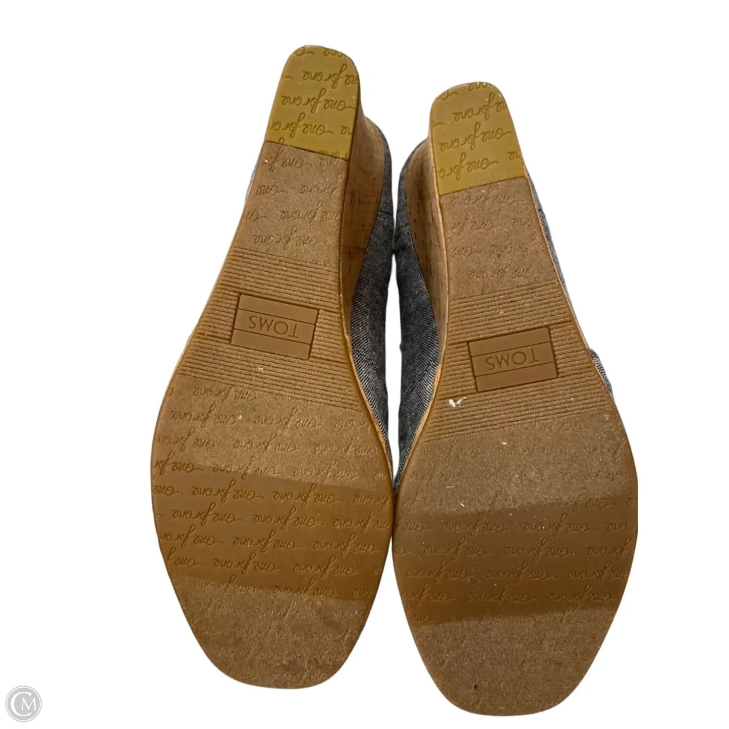 Shoes Heels Wedge By Toms In Blue, Size: 8