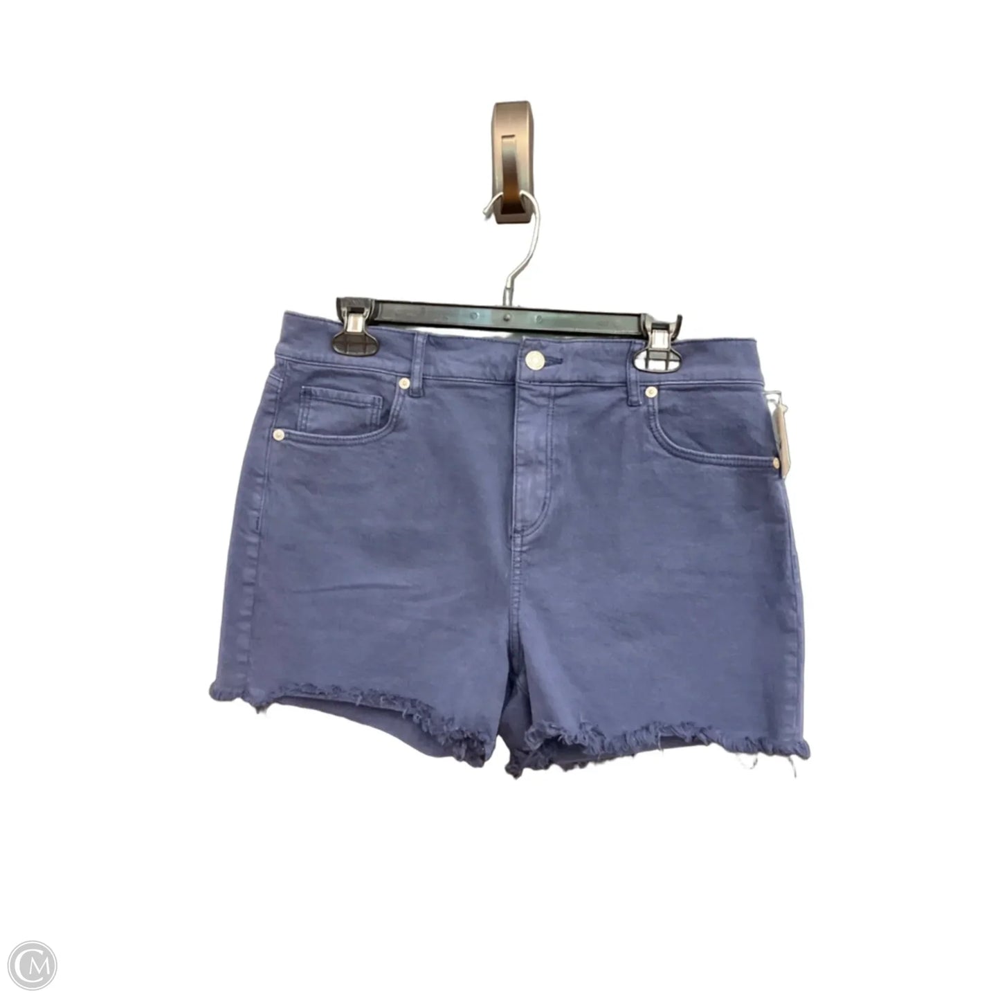 Shorts By Loft In Blue, Size: 10