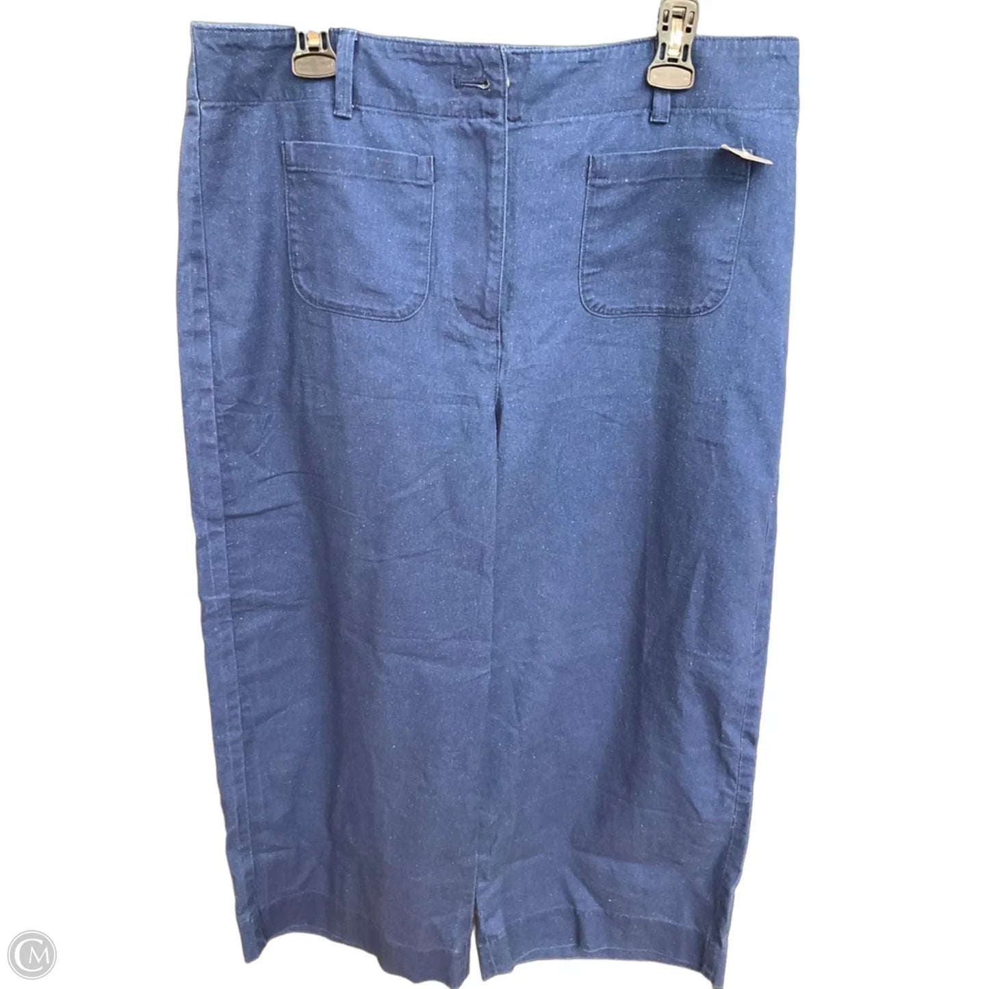 Pants Other By Talbots In Blue, Size: 12
