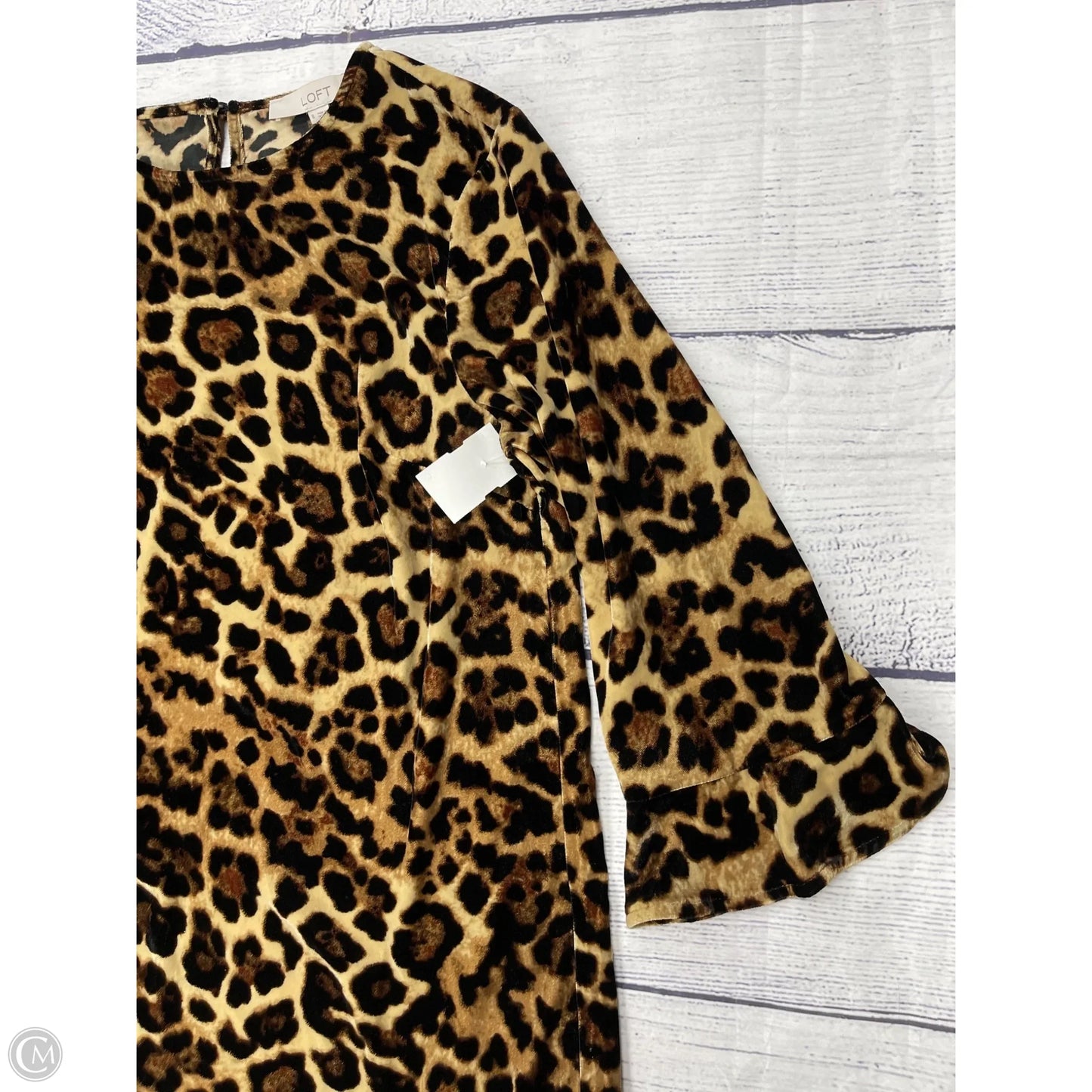 Dress Casual Short By Loft In Animal Print, Size: 8