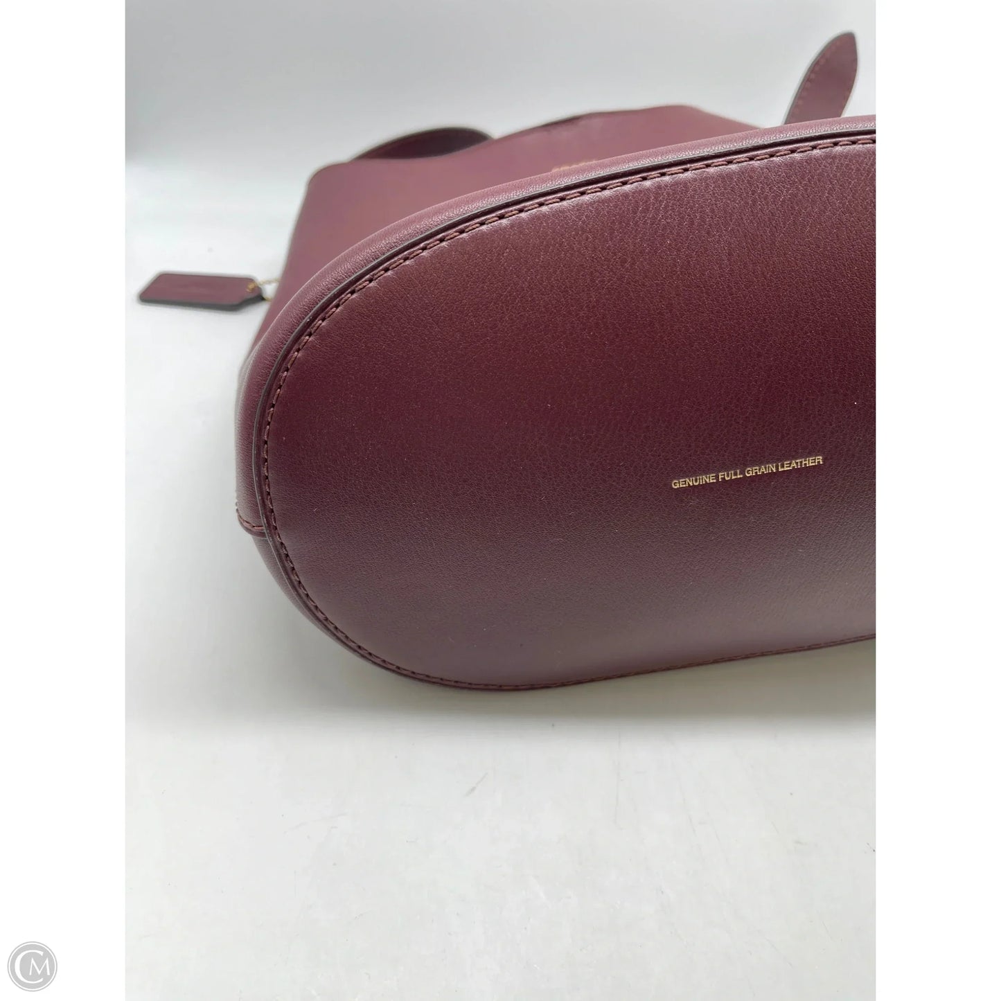 Crossbody Designer By Coach, Size: Large