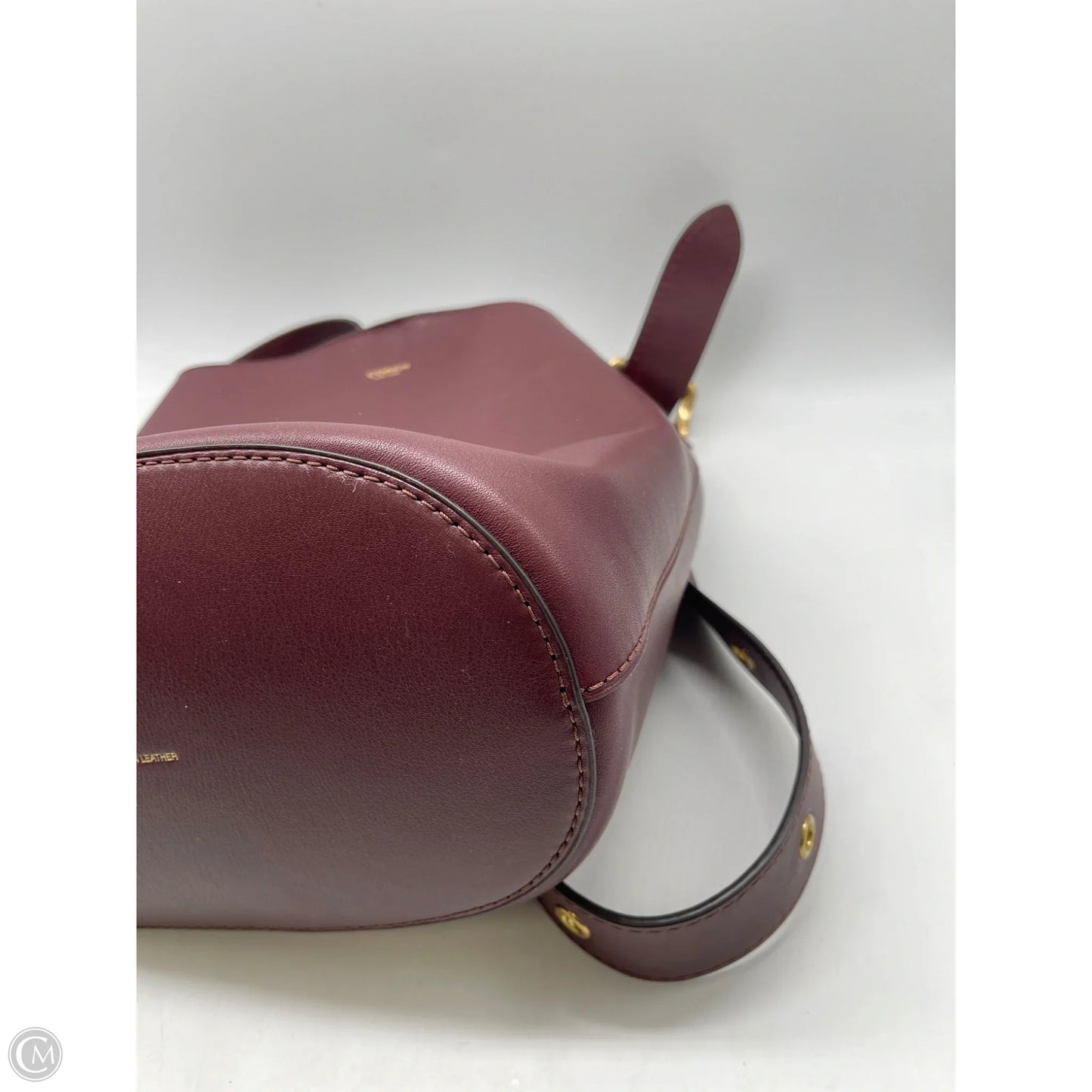 Crossbody Designer By Coach, Size: Large