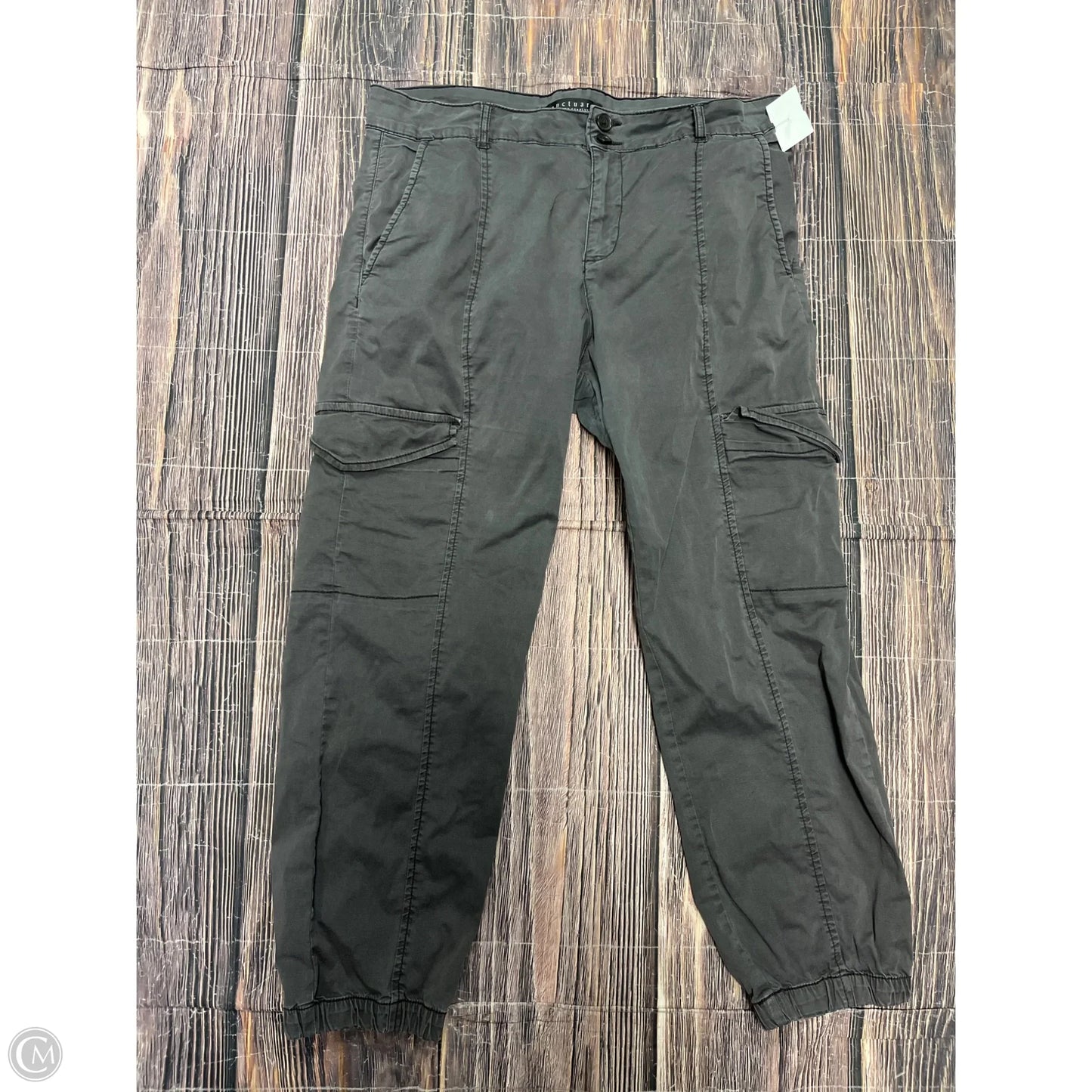 Pants Cargo & Utility By Sanctuary In Grey, Size: 12