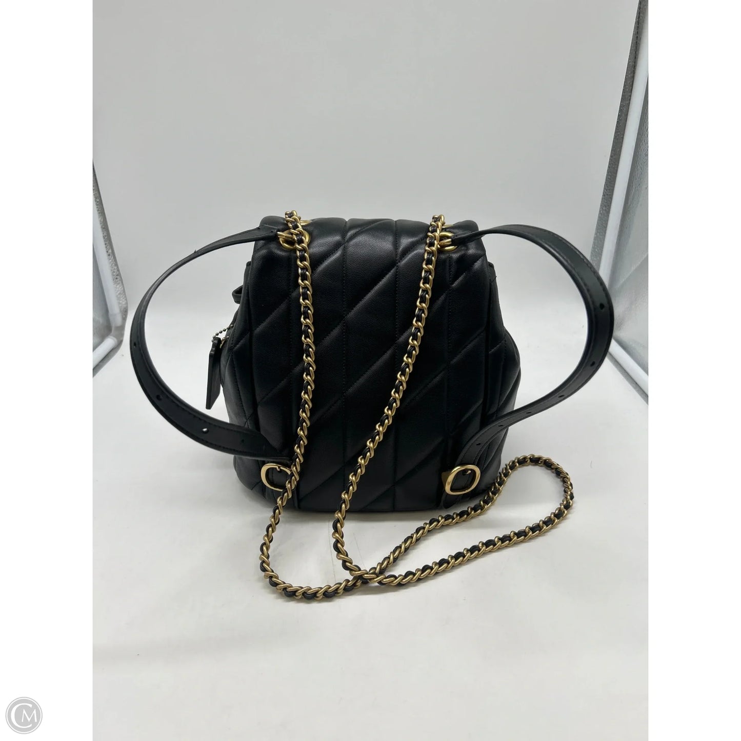 Backpack Designer By Coach, Size: Small