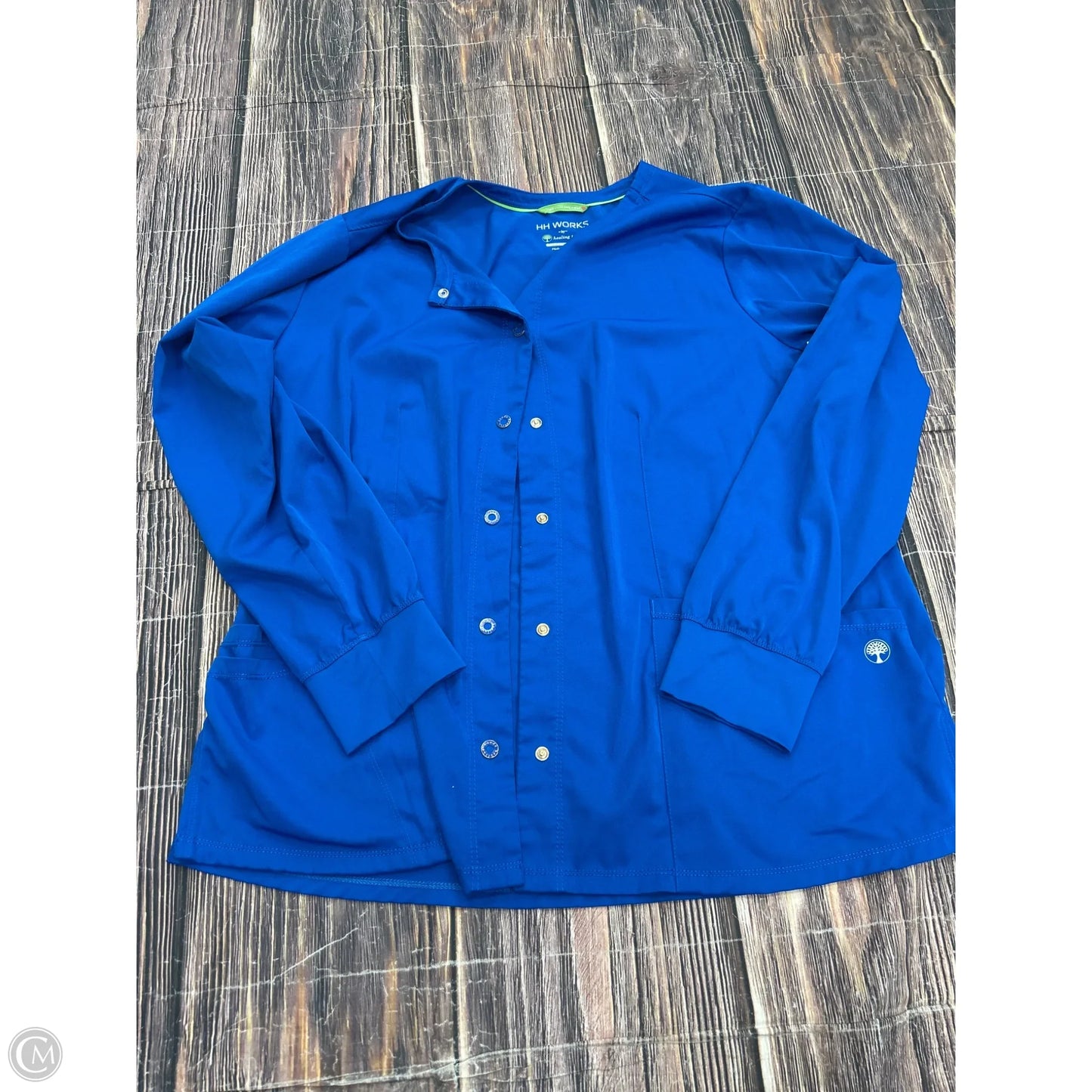 Top Long Sleeve By Clothes Mentor In Blue, Size: 1x