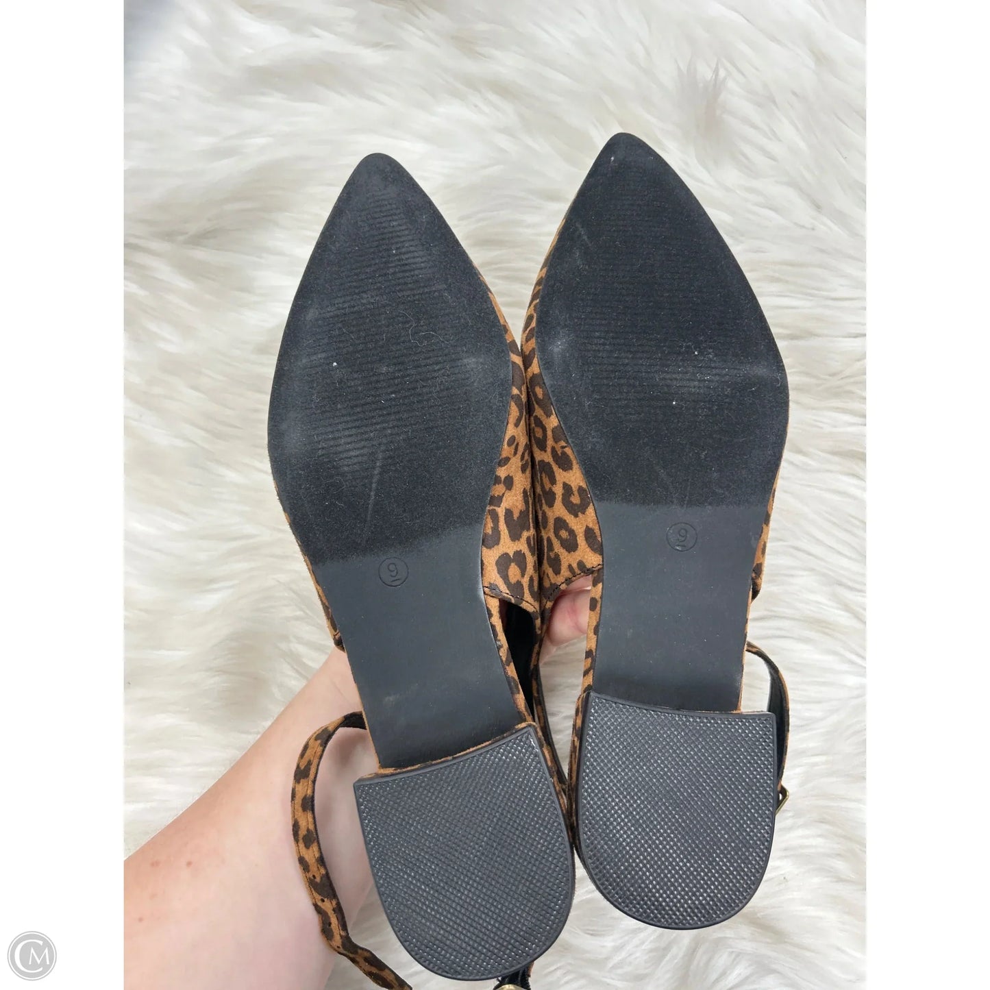 Shoes Sneakers By Ophelia Roe In Animal Print, Size: 9