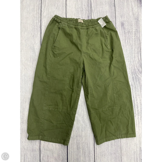 Pants Wide Leg By Pilcro In Green, Size: 1x