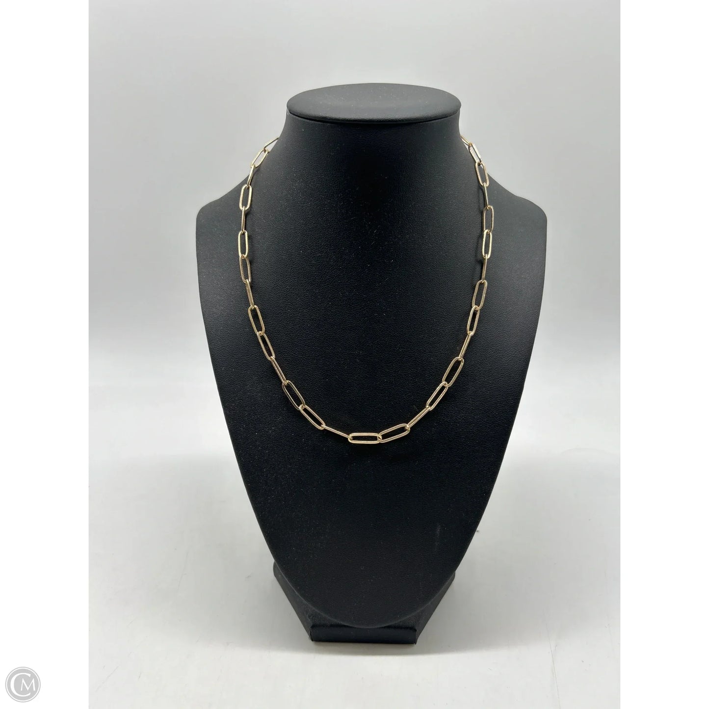 Necklace Chain By Clothes Mentor