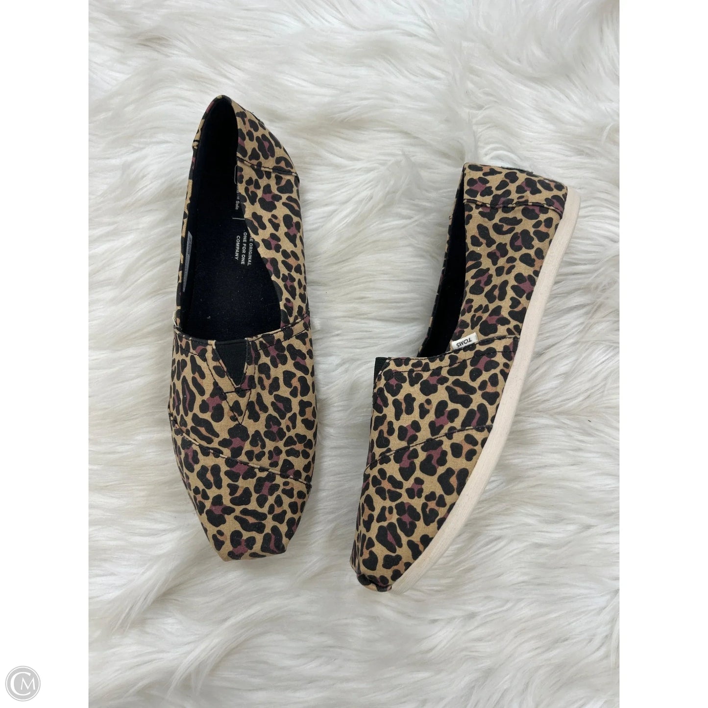 Shoes Flats By Toms In Animal Print, Size: 9.5