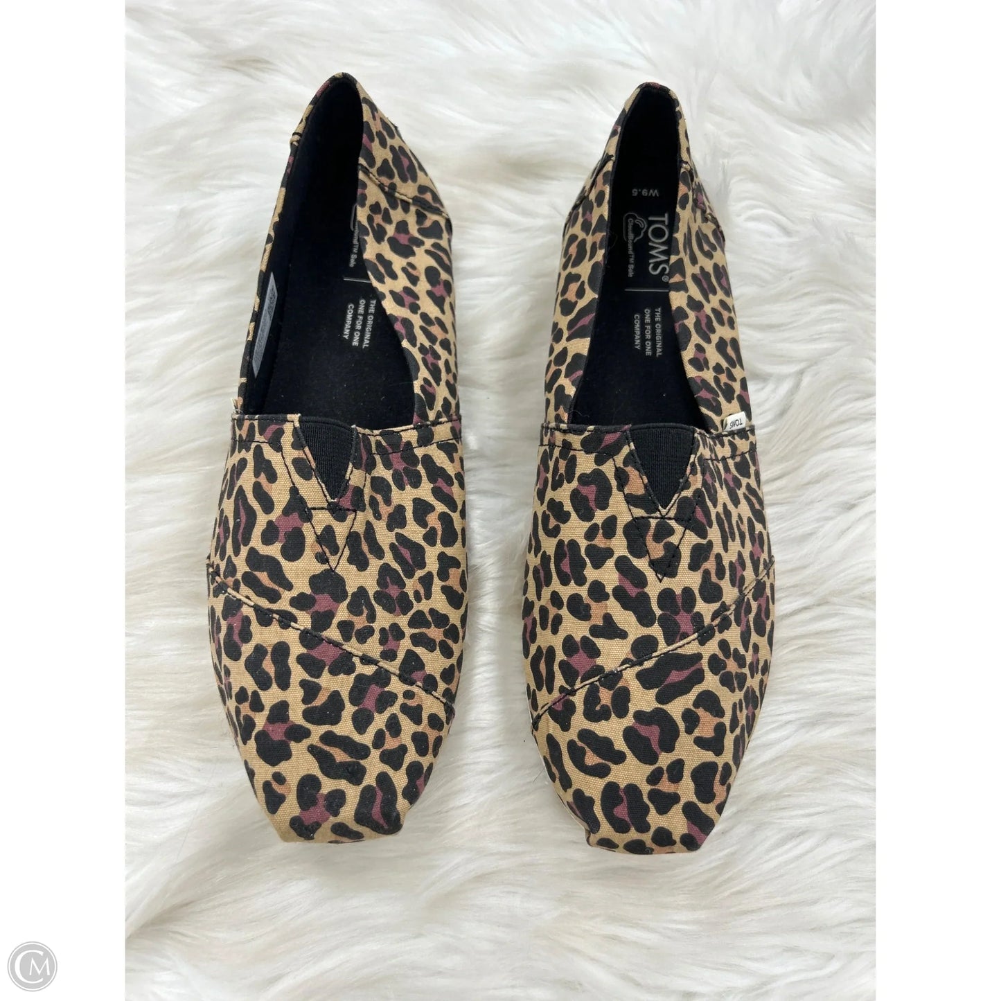 Shoes Flats By Toms In Animal Print, Size: 9.5