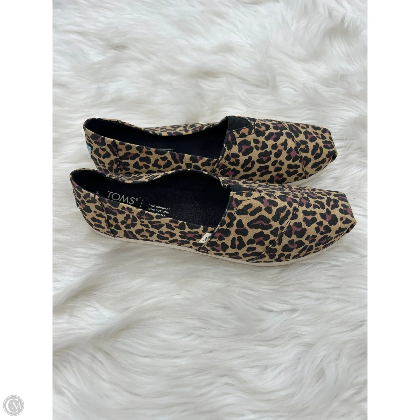 Shoes Flats By Toms In Animal Print, Size: 9.5