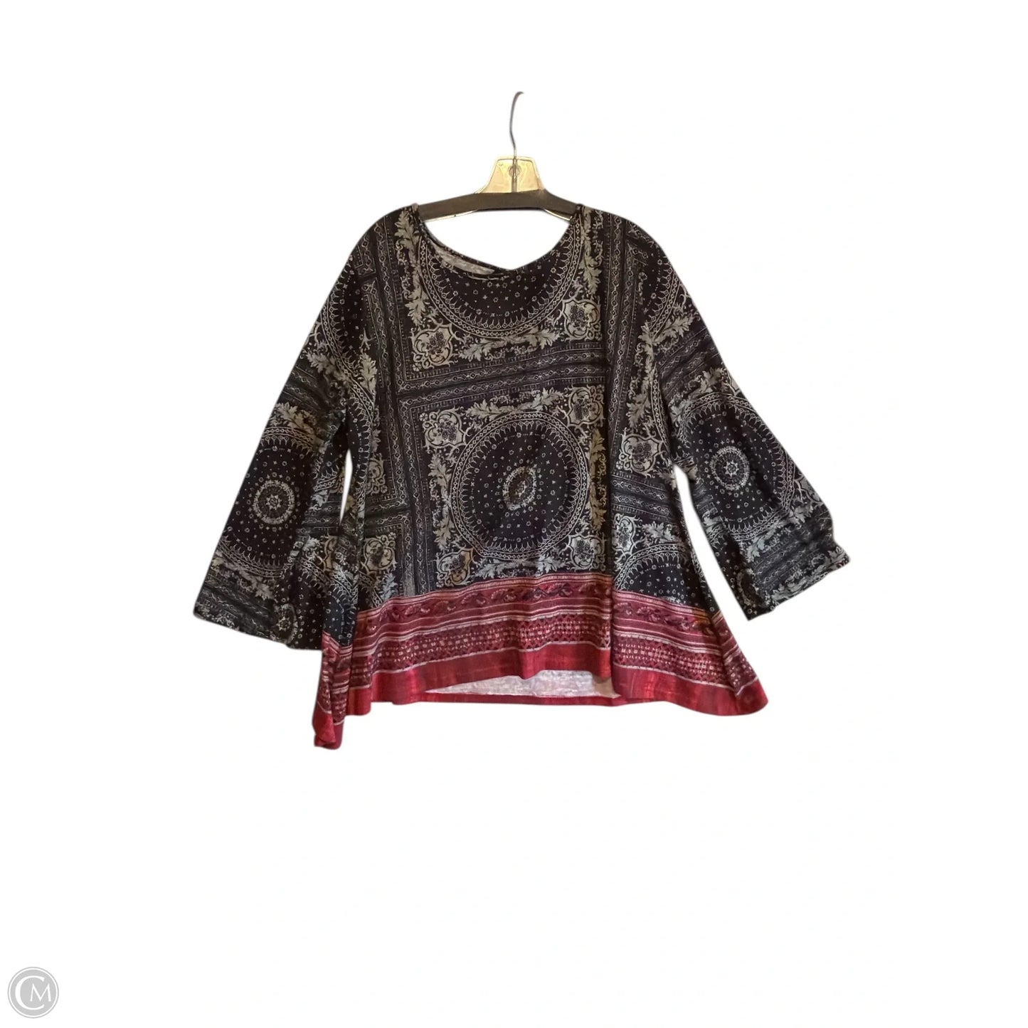 Top Long Sleeve By Suzanne Betro In Grey, Size: 3x
