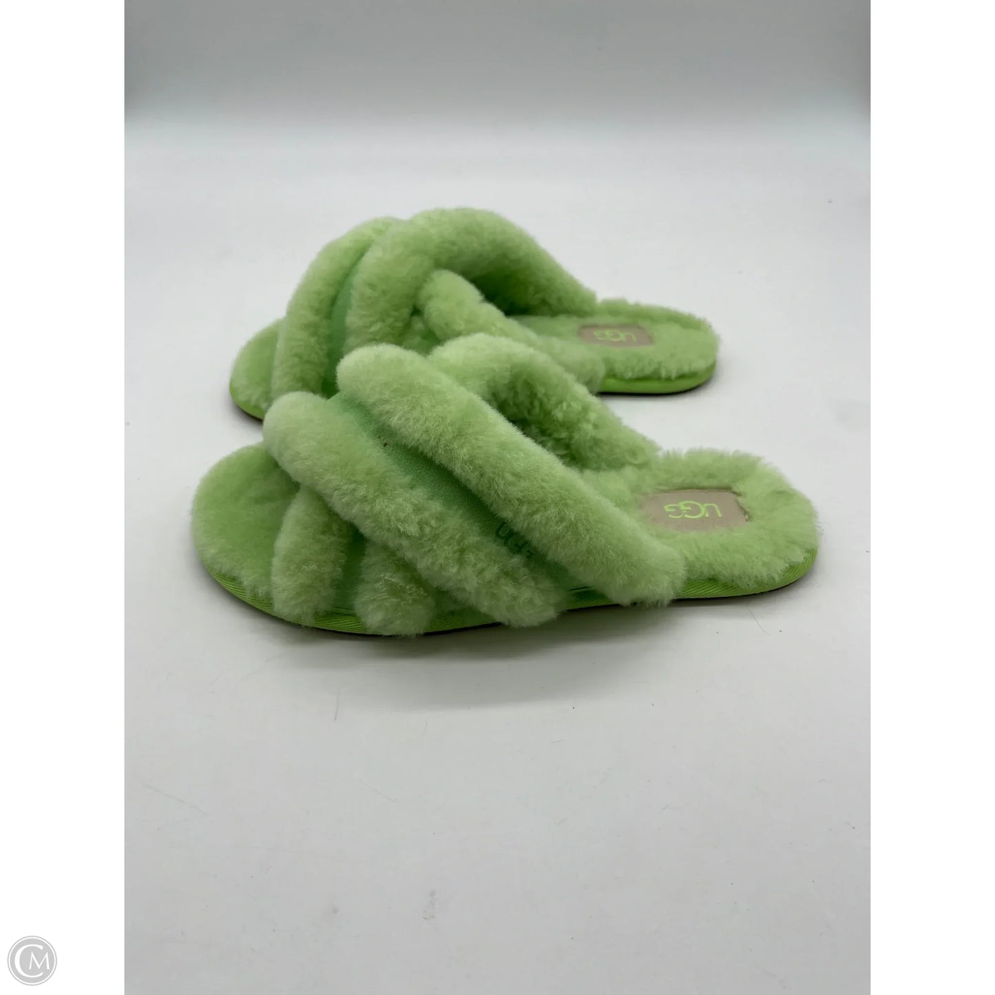Slippers Designer By Ugg In Green