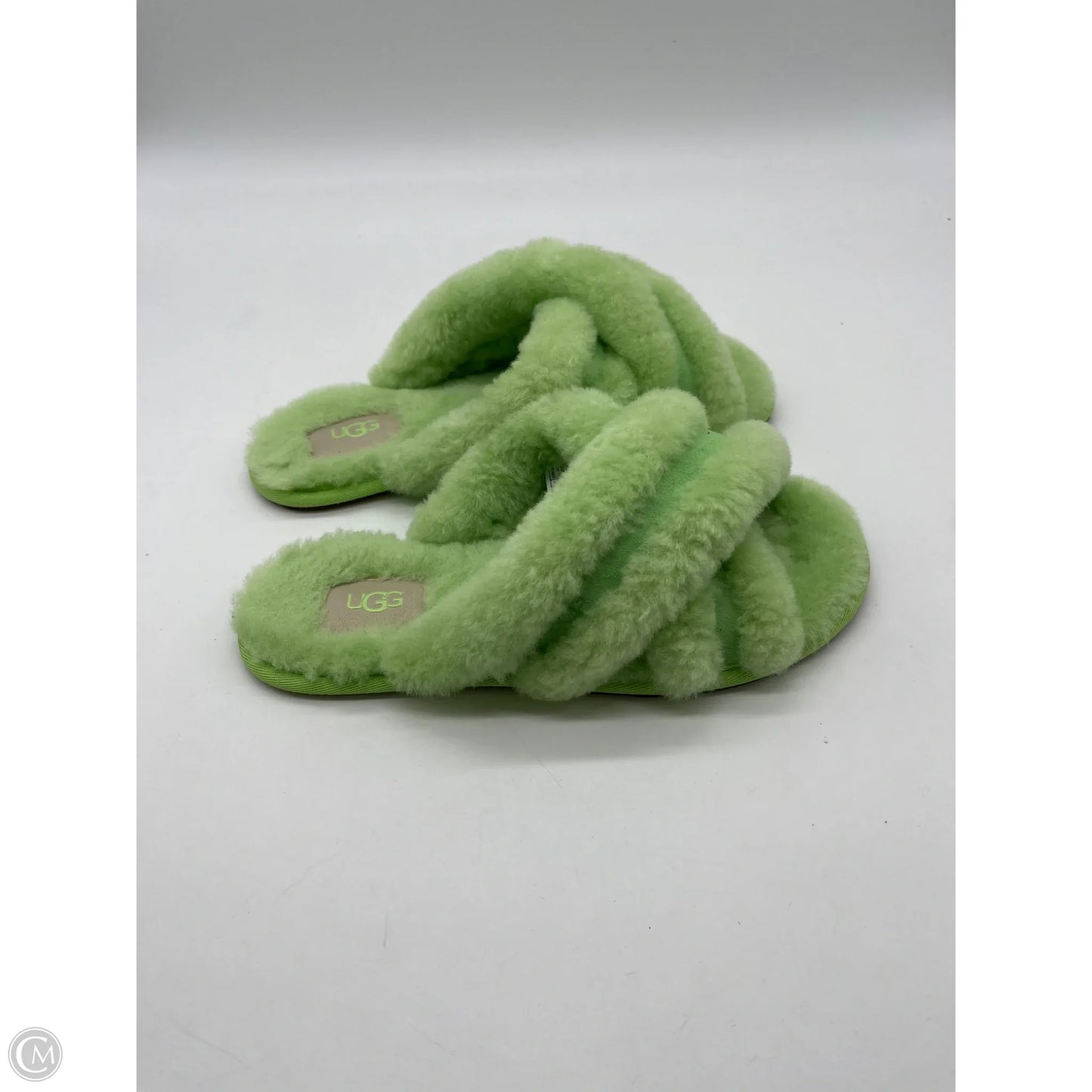 Slippers Designer By Ugg In Green